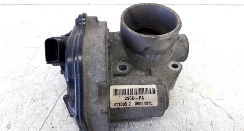 Corpo de Borboletas (20235157).