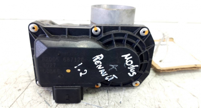 Corpo de Borboletas (20237914).