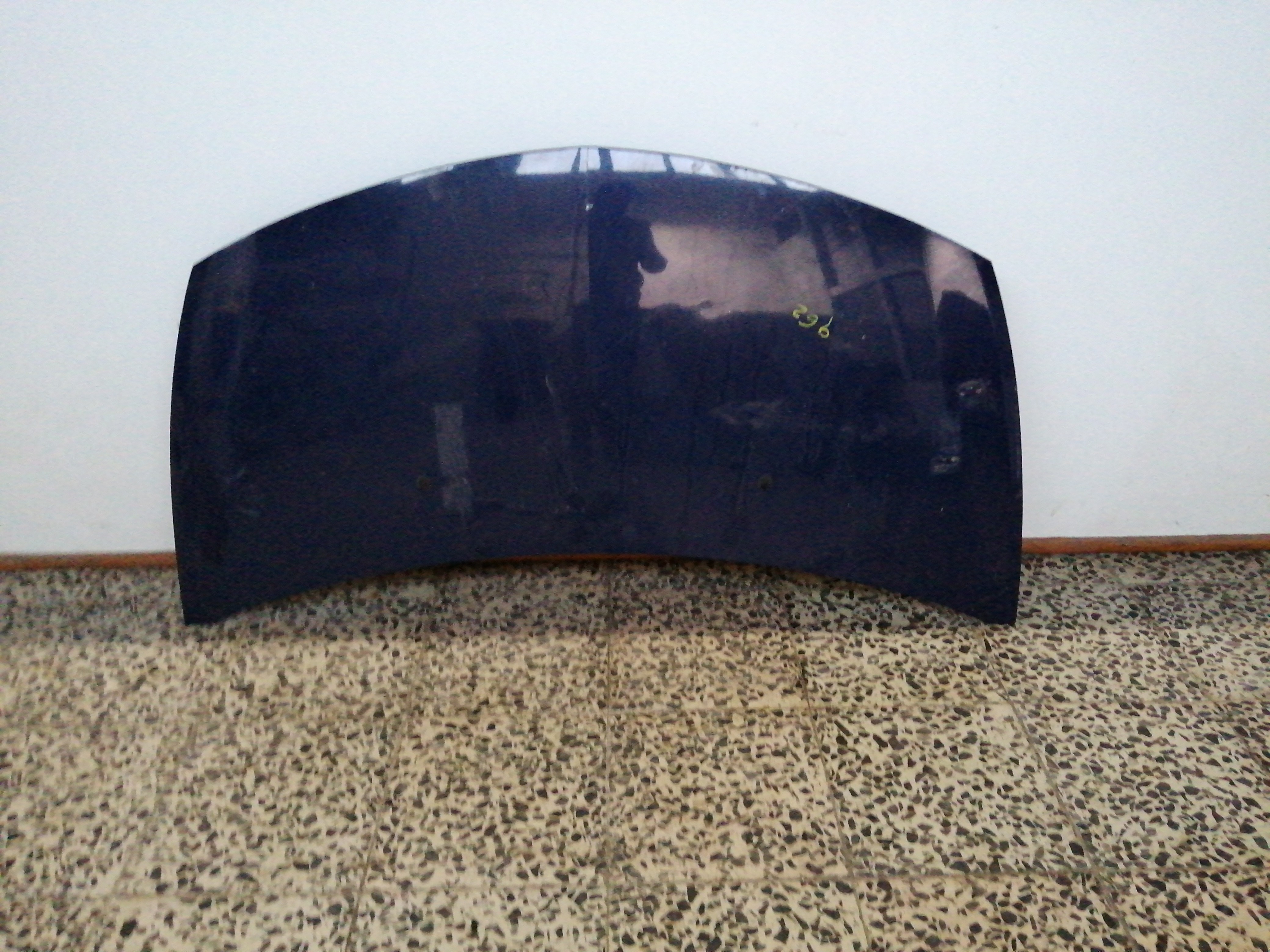 Capo RENAULT CLIO III (BR0/1, CR0/1) | 05 - 