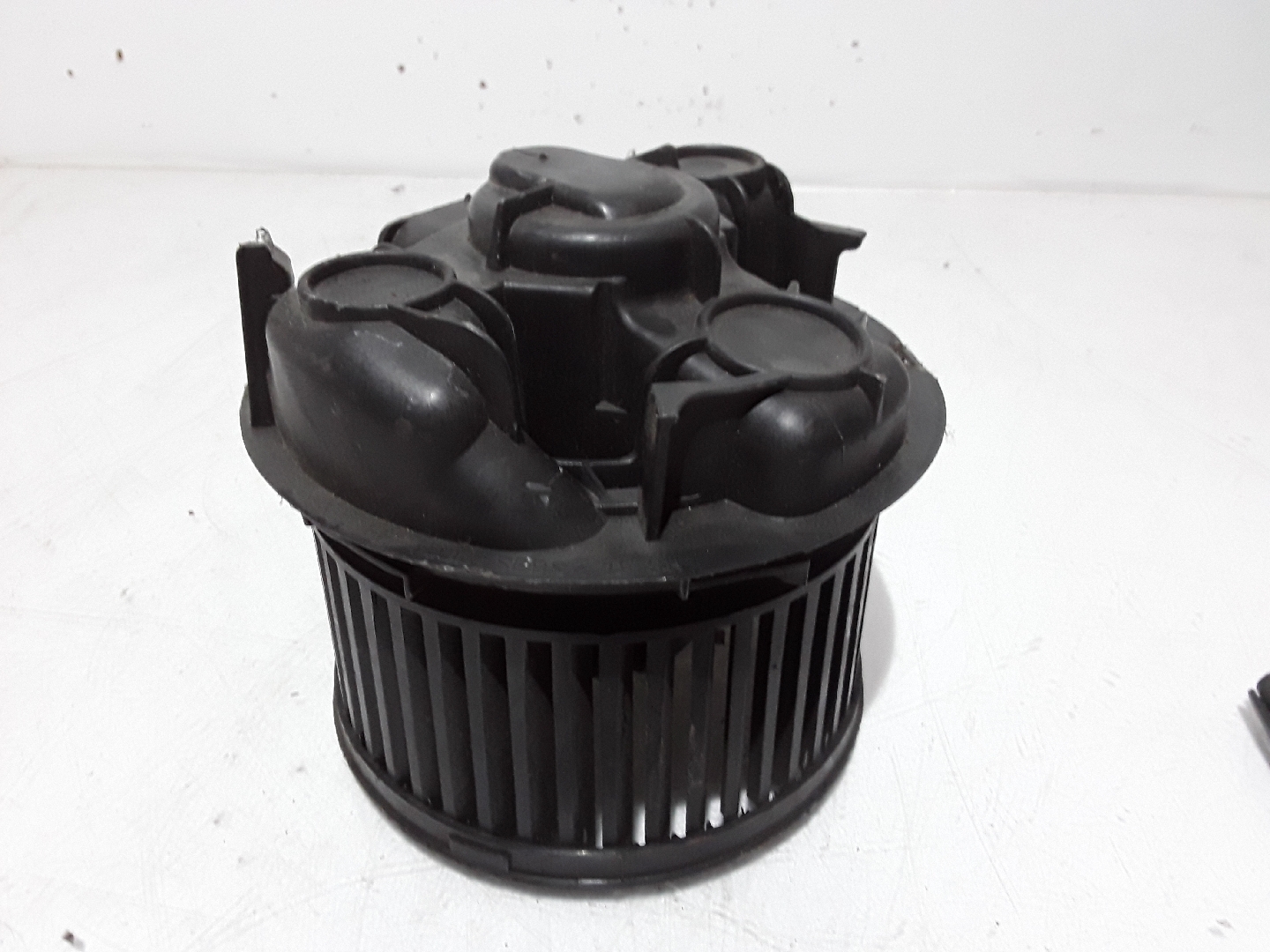 Motor da Climatizaçao / Sofagem RENAULT CLIO III (BR0/1, CR0/1) | 05 - 