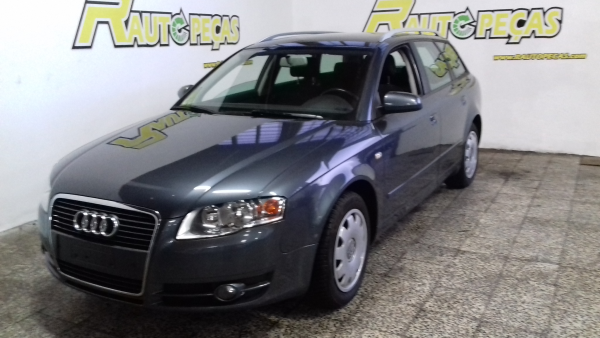 Motor AUDI A4 Avant (8ED, B7) | 04 - 08 Imagem-2