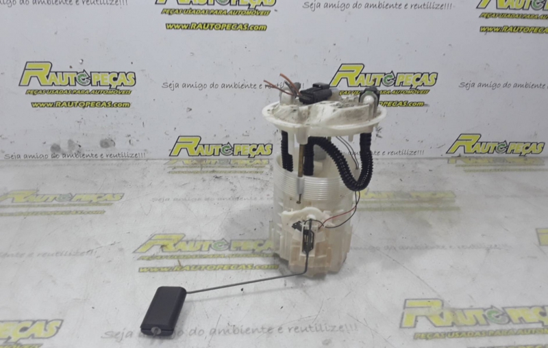 Boia do Combustível RENAULT MEGANE II (BM0/1_, CM0/1_) | 01 - 12