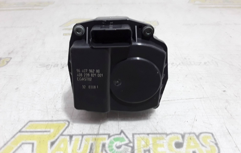 Borboleta Admissão CITROEN C2 (JM_) | 03 - 17 Imagem-1