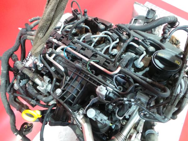 Motor VOLKSWAGEN CADDY III Caixa (2KA, 2KH, 2CA, 2CH) | 04 - 15
