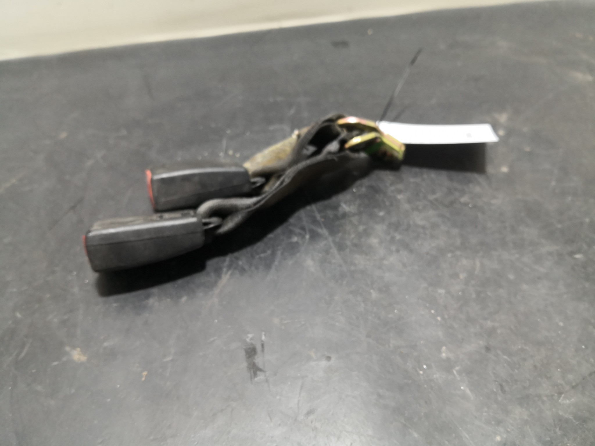 Engate Cinto Trás Dto BMW 3 Touring (E46) | 99 - 05 Imagem-1