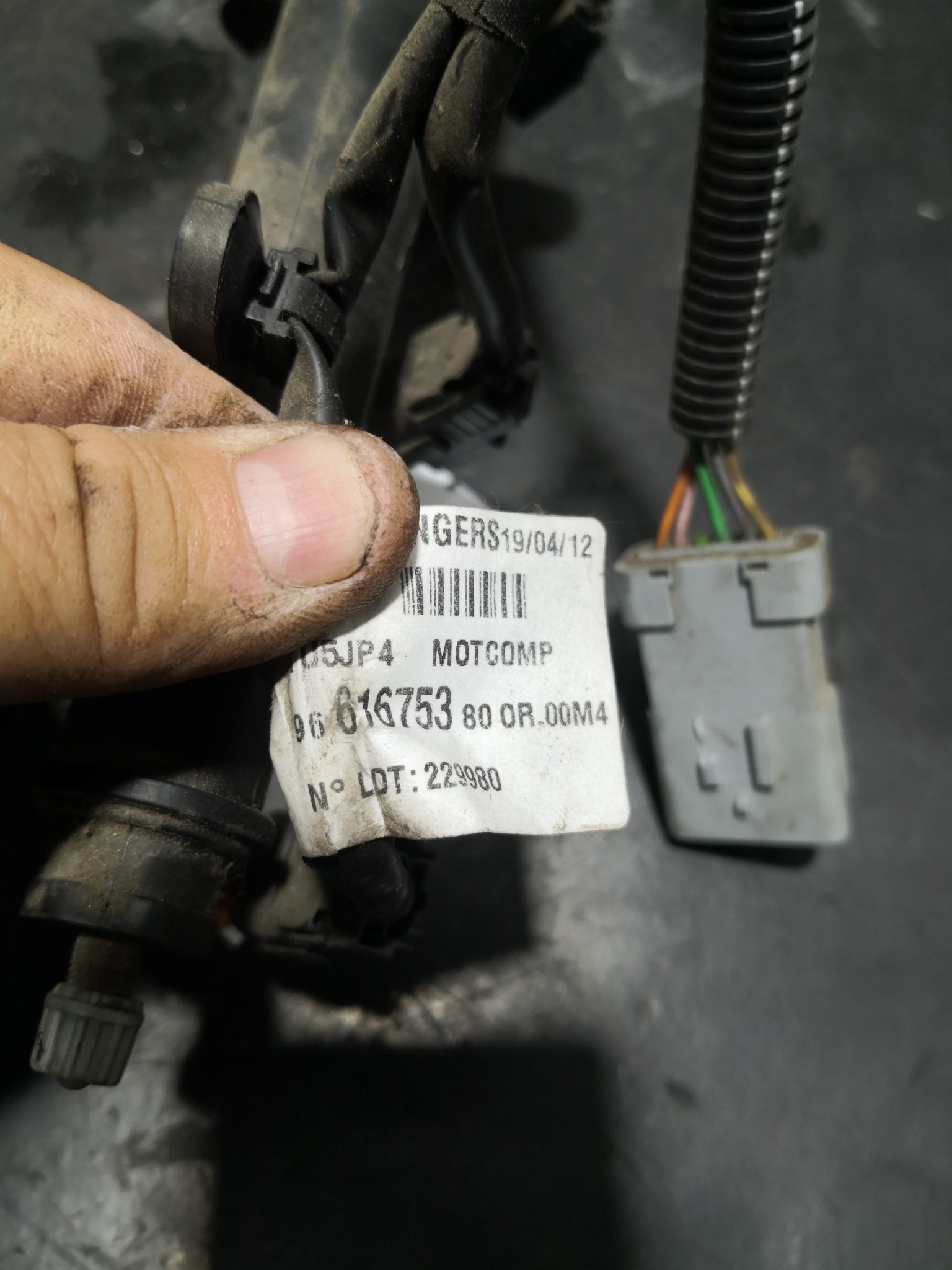 Rampa de Injeção PEUGEOT 206+ (2L_, 2M_) | 09 - 13 Imagem-2