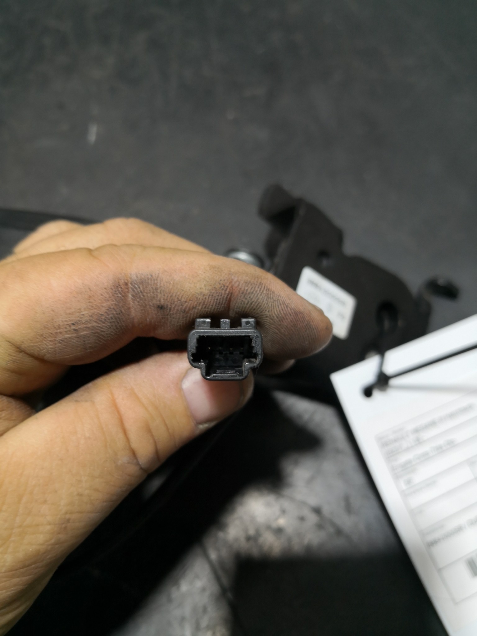 Engate Cinto Trás Dto RENAULT MEGANE III Hatchback (BZ0/1_) | 08 -  Imagem-1