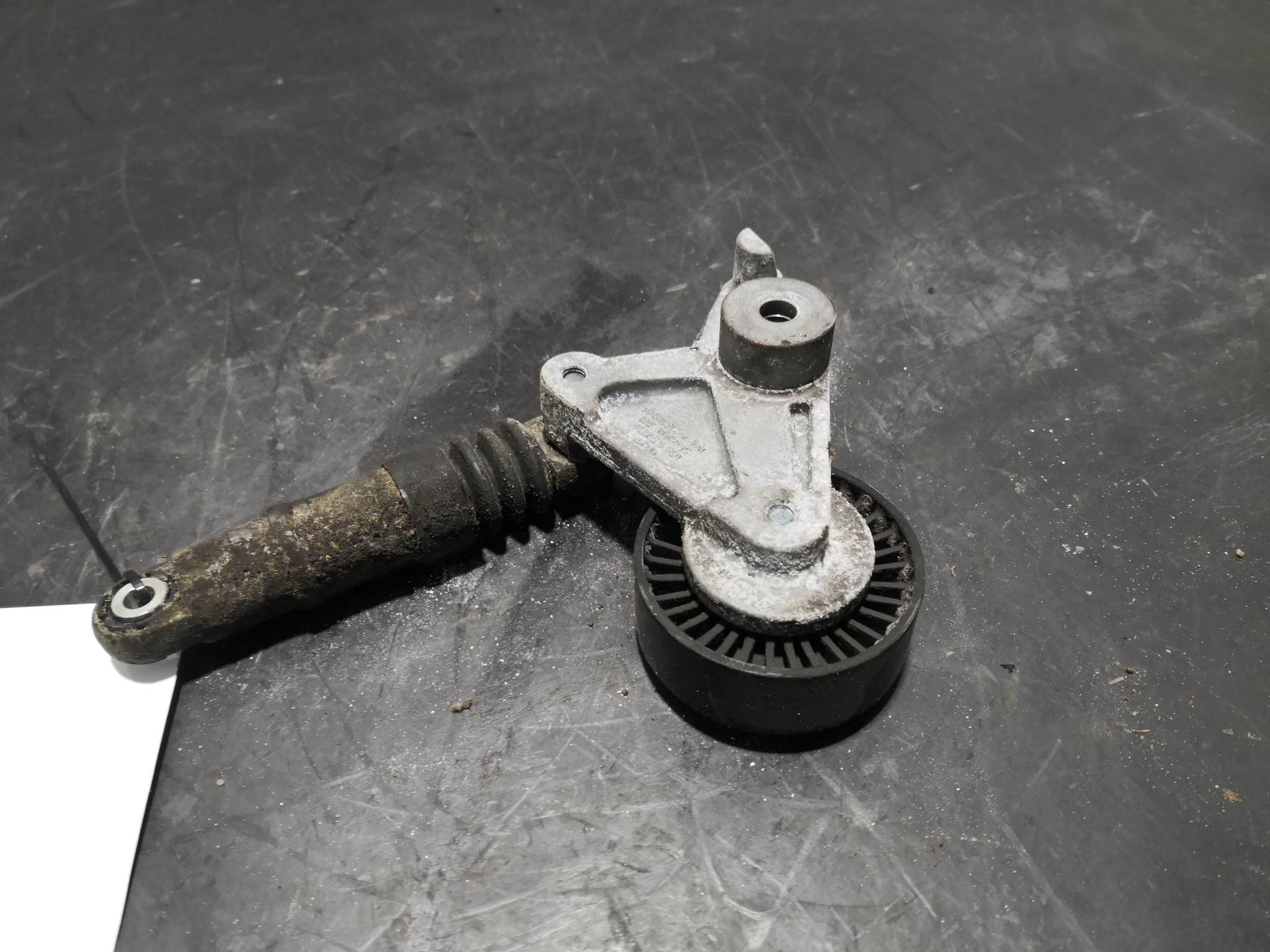 Esticador de Correia AUDI A4 Avant (8ED, B7) | 04 - 08 Imagem-1