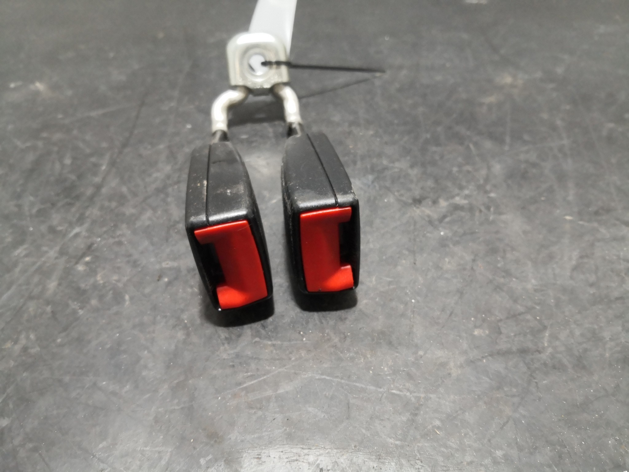 Engate Cinto Trás Dto SEAT CORDOBA (6L2) | 02 - 09 Imagem-1