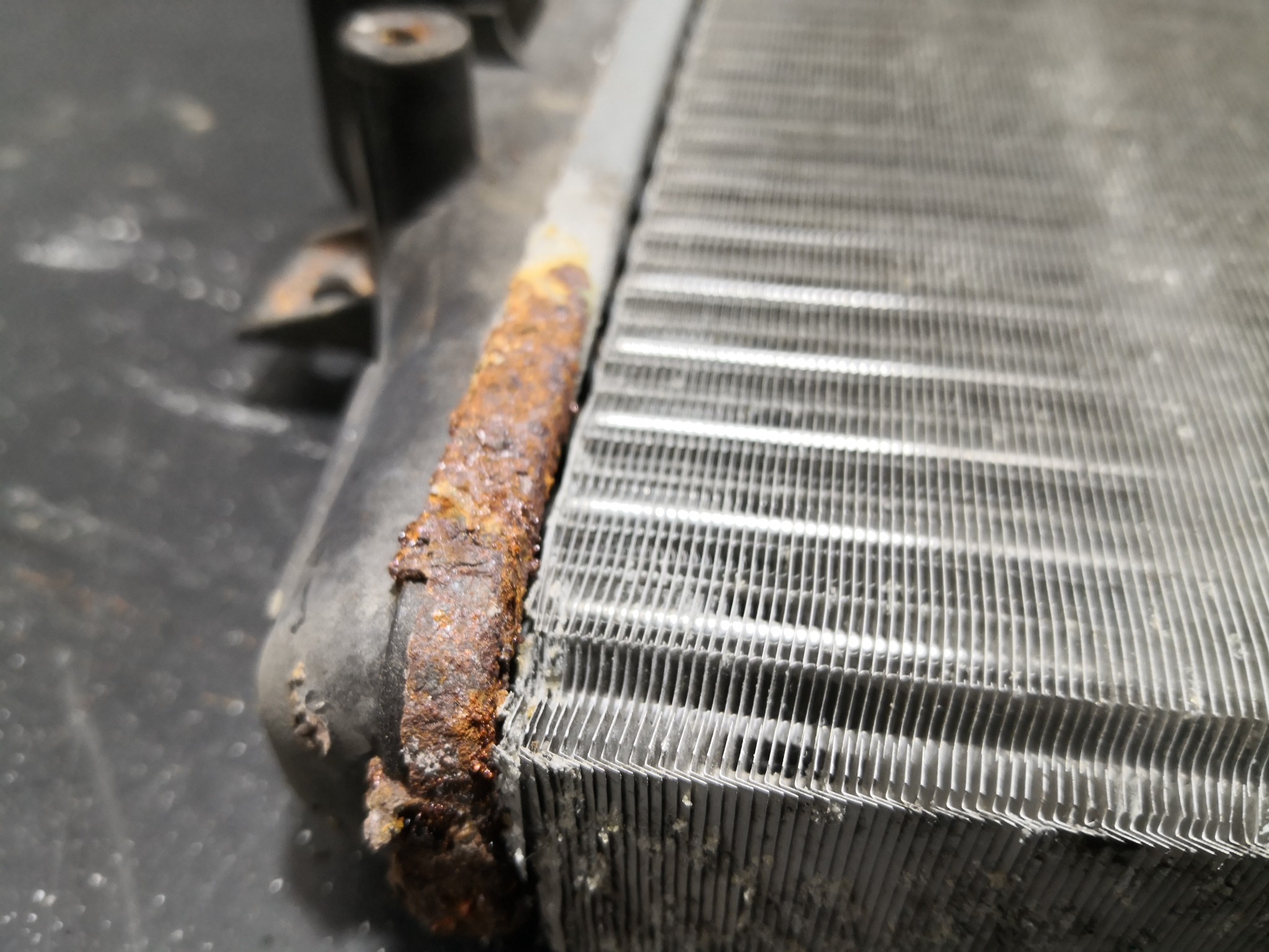 Radiador da água SKODA OCTAVIA II Combi (1Z5) | 04 - 13 Imagem-3