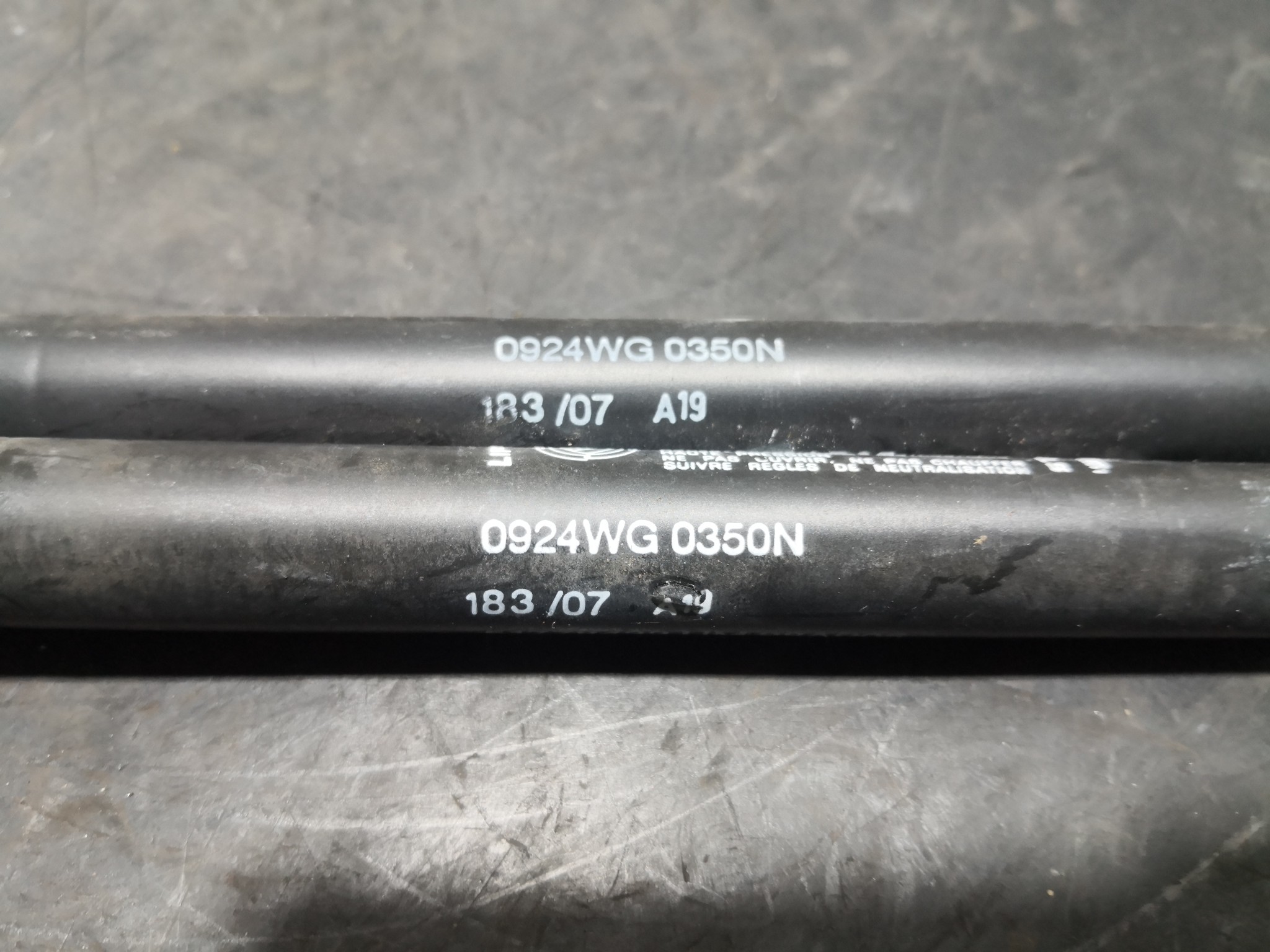 Amortecedores de Mala FIAT GRANDE PUNTO (199_) | 05 -  Imagem-2