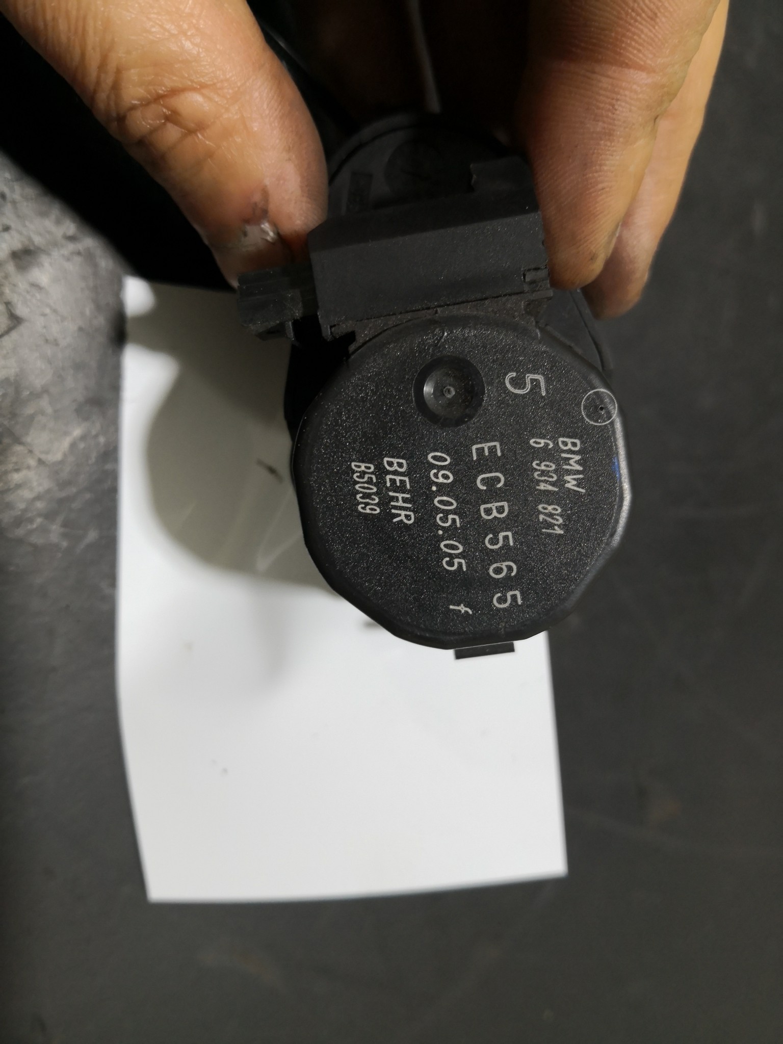 Motor de Comporta BMW 3 Touring (E46) | 99 - 05 Imagem-1