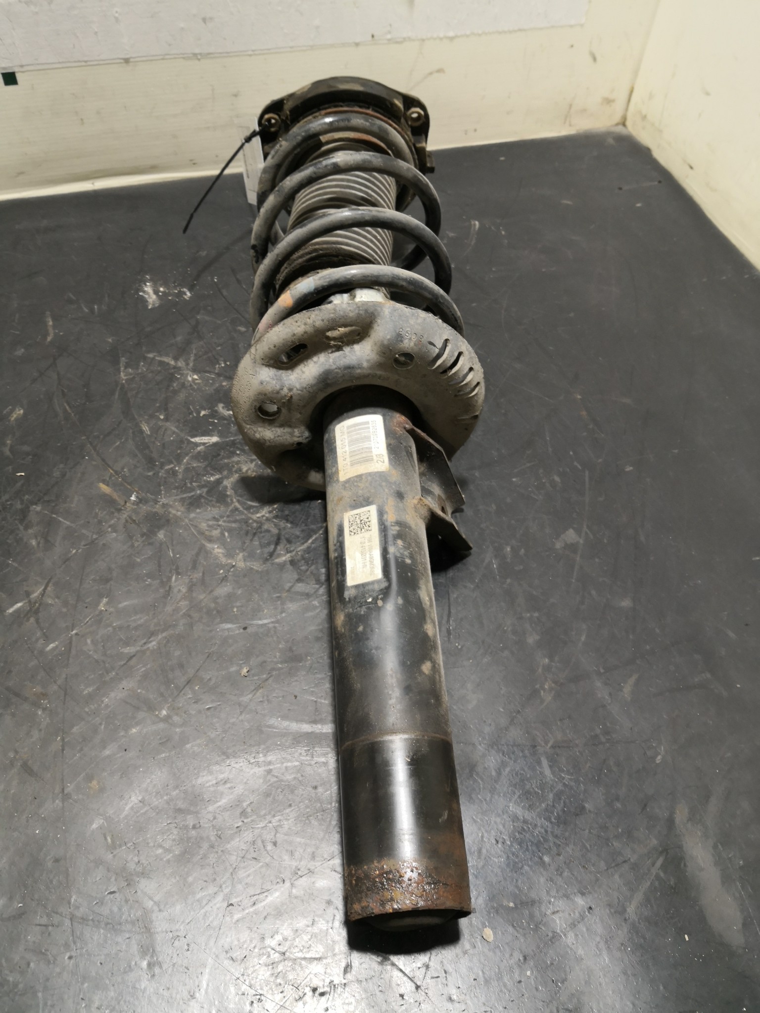 Amortecedor Frente Dto VOLKSWAGEN GOLF PLUS (5M1, 521) | 04 - 13 Imagem-1