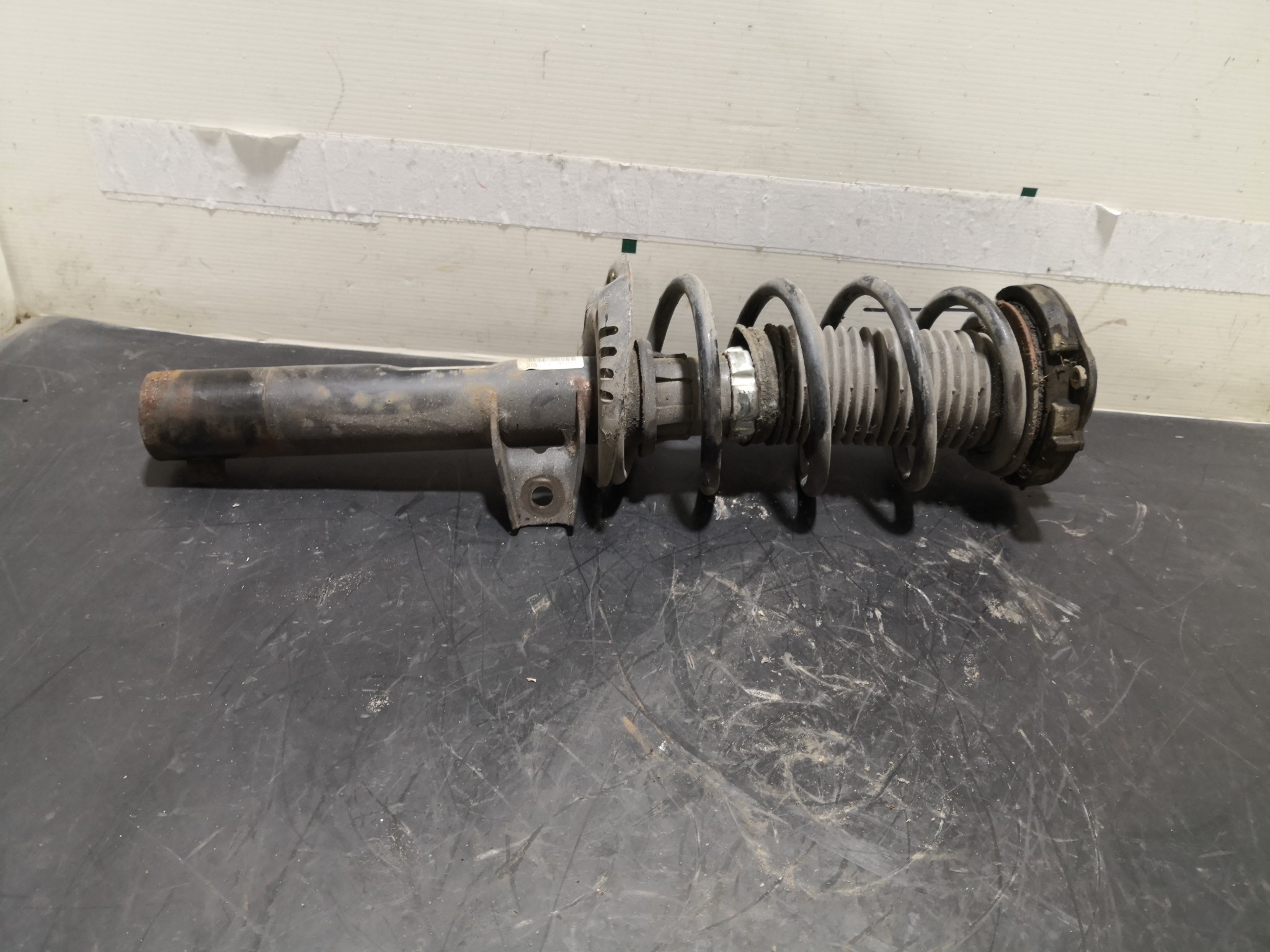 Amortecedor Frente Dto VOLKSWAGEN GOLF PLUS (5M1, 521) | 04 - 13 Imagem-2