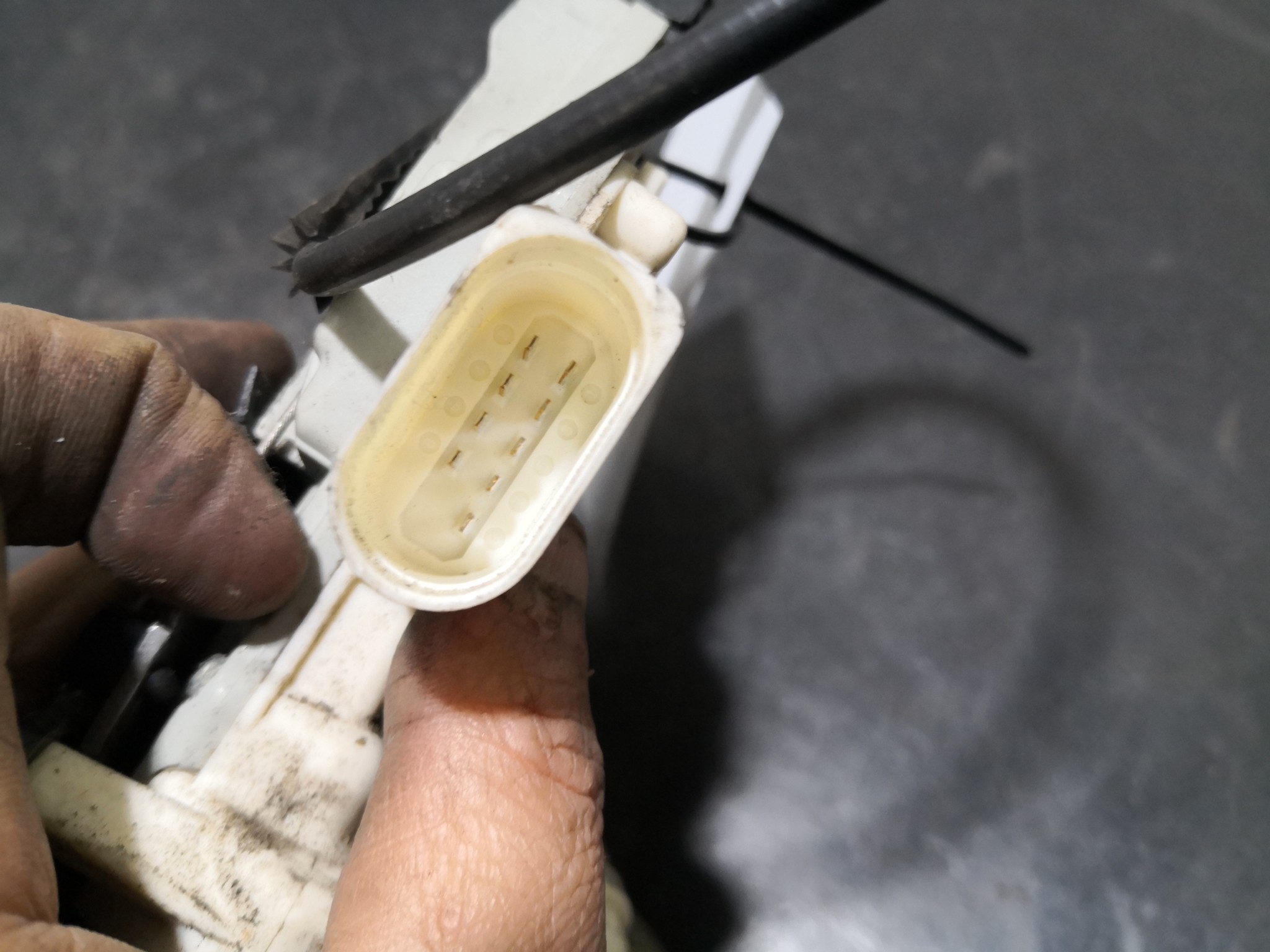 Fecho da Porta Frente Esq SEAT LEON (1P1) | 05 - 13 Imagem-3