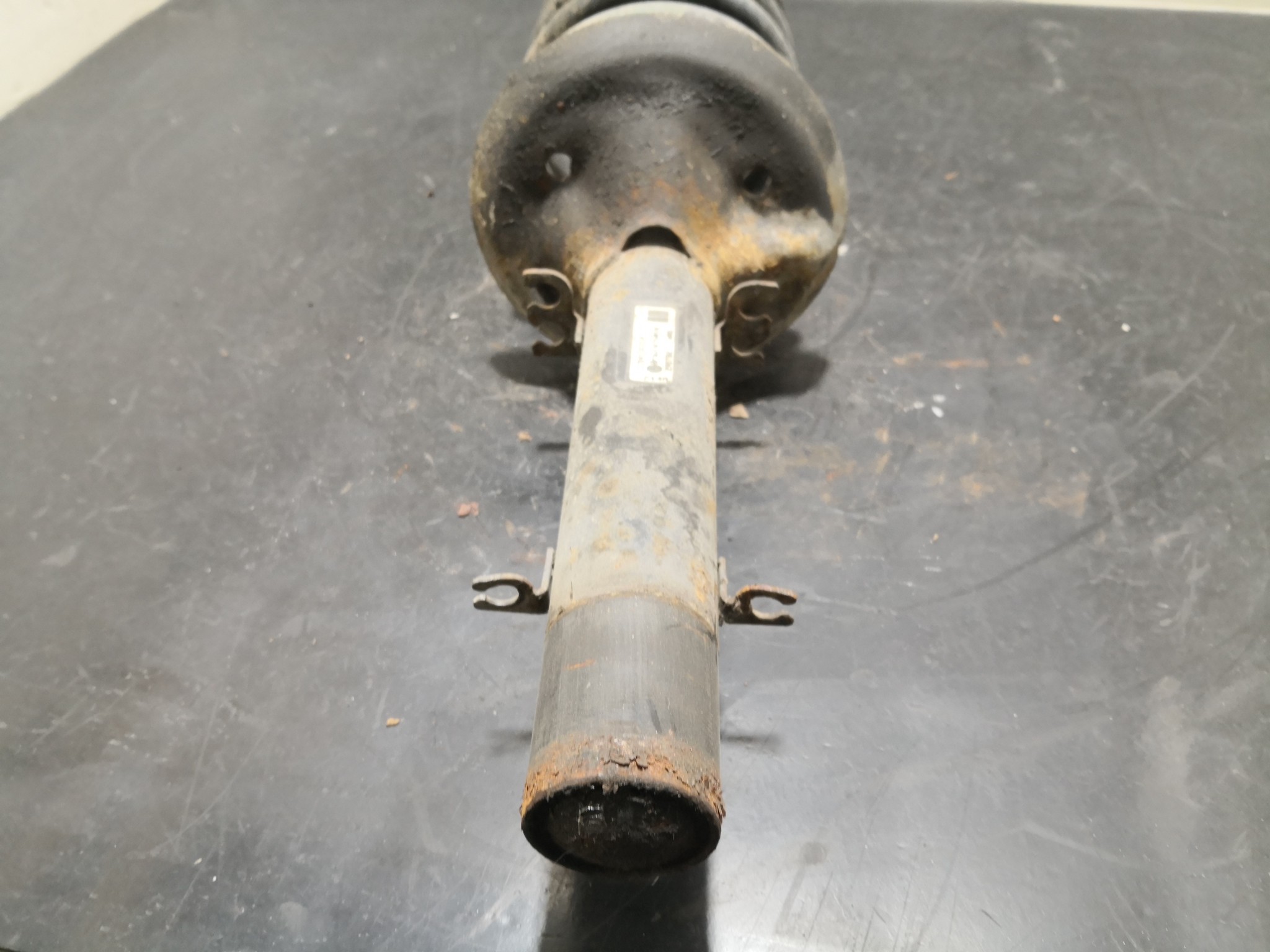 Amortecedor Frente Dto AUDI A3 (8L1) | 96 - 06 Imagem-1