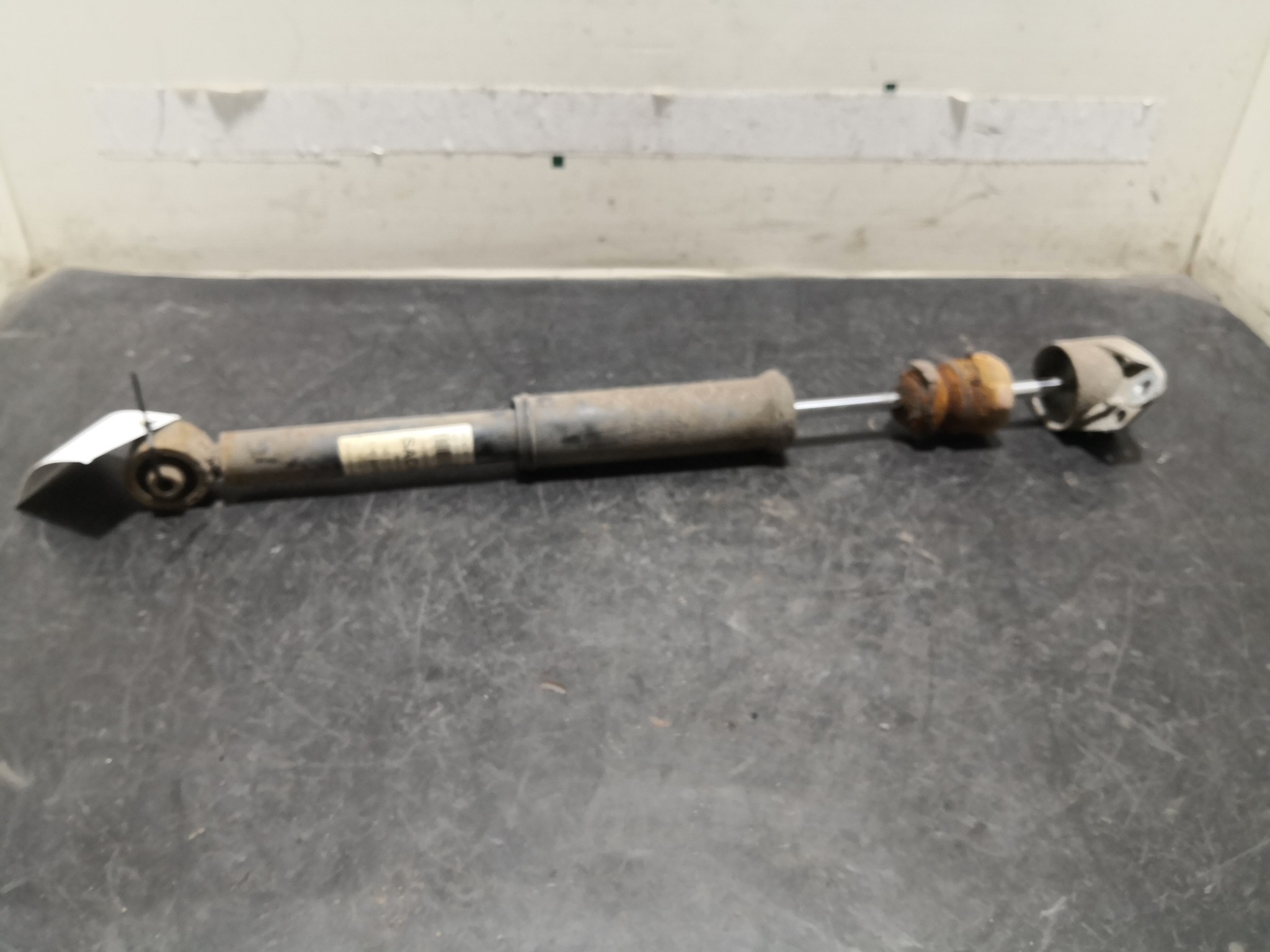 Amortecedor Trás Esq SEAT IBIZA III (6L1) | 02 - 09 Imagem-1