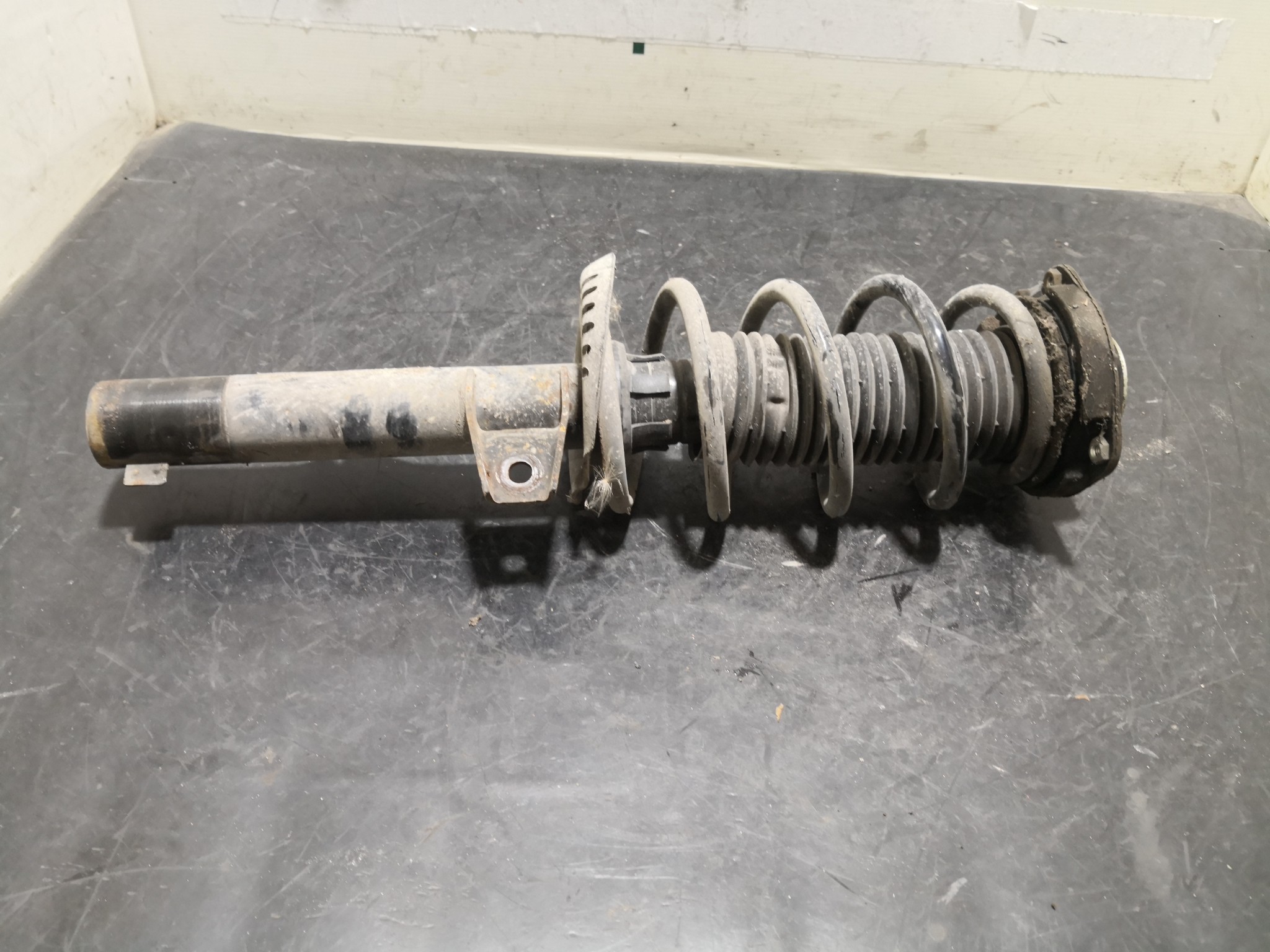 Amortecedor Frente Esq SEAT LEON (1P1) | 05 - 13 Imagem-2