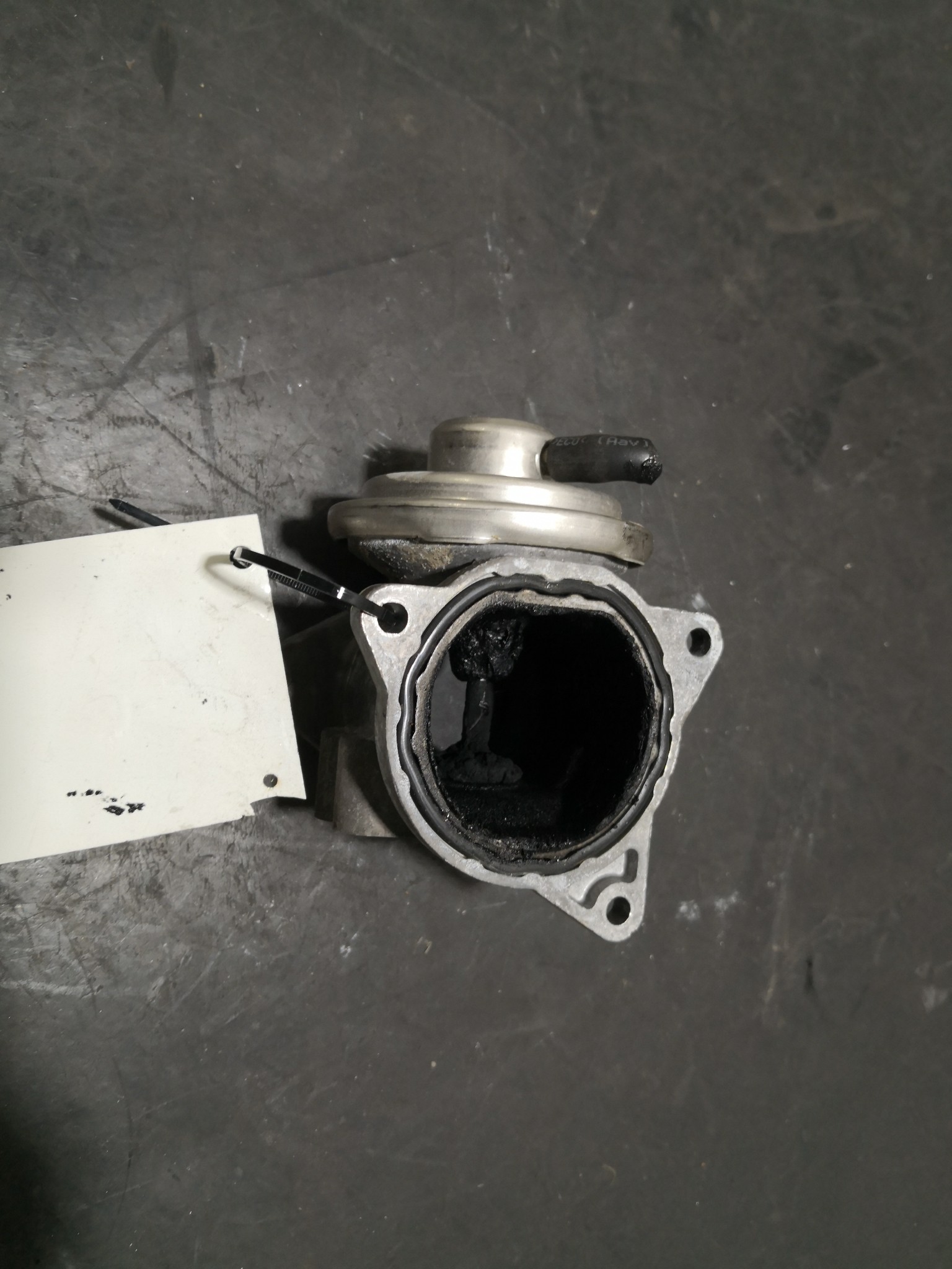 Válvula Egr SEAT CORDOBA (6L2) | 02 - 09 Imagem-1