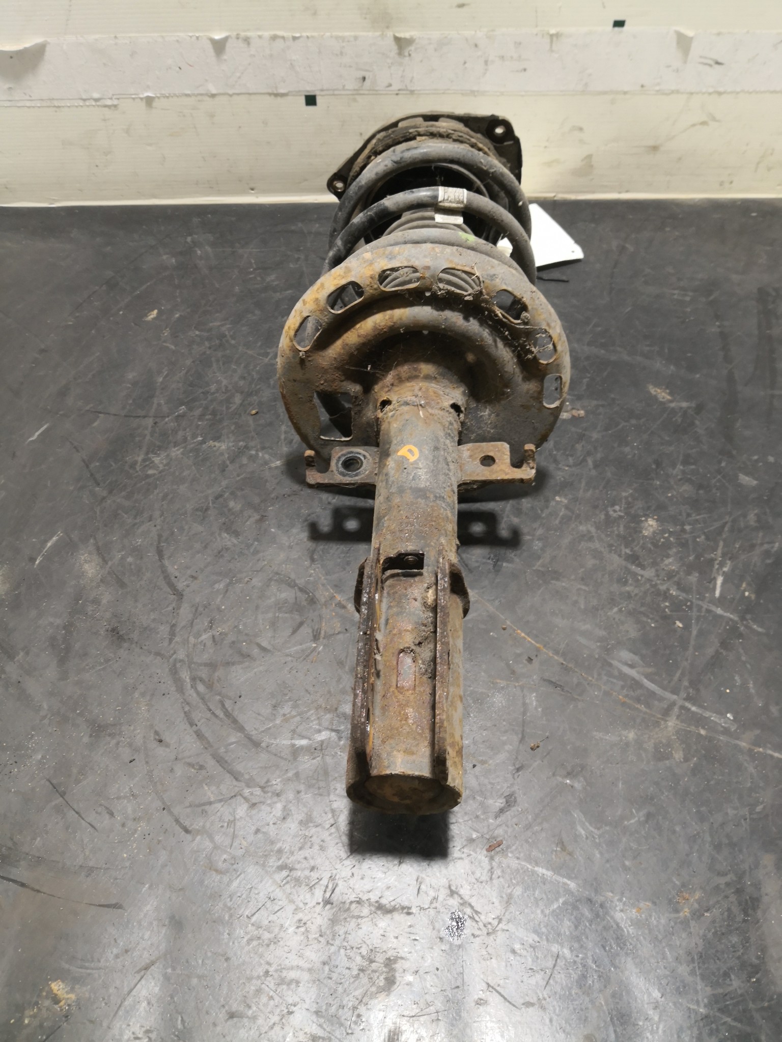 Amortecedor Frente Dto RENAULT MEGANE III Hatchback (BZ0/1_) | 08 -  Imagem-1