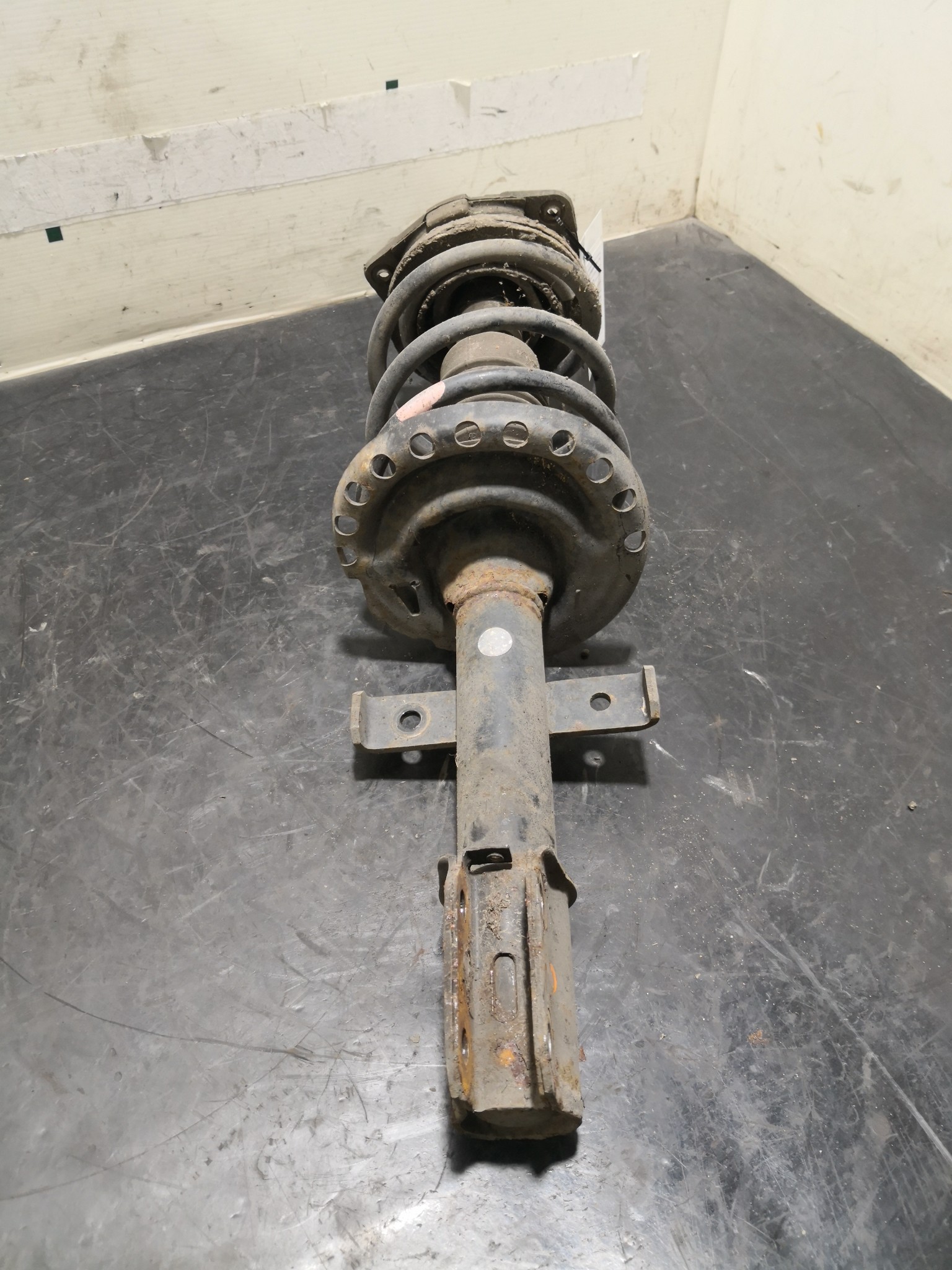 Amortecedor Frente Dto RENAULT CLIO Grandtour (KR0/1_) | 08 -  Imagem-1