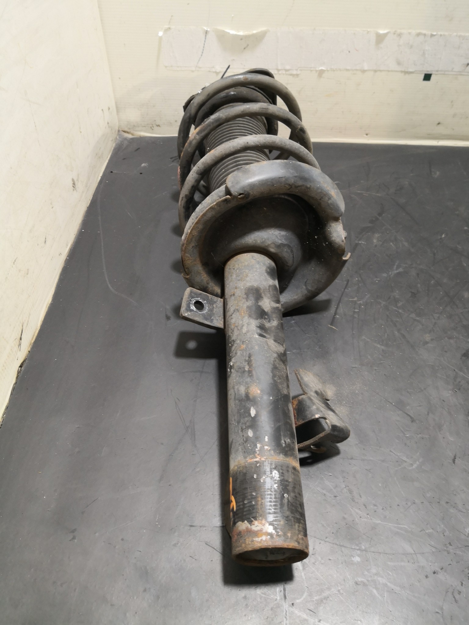 Amortecedor Frente Dto VOLVO V50 (545) | 03 - 12 Imagem-2