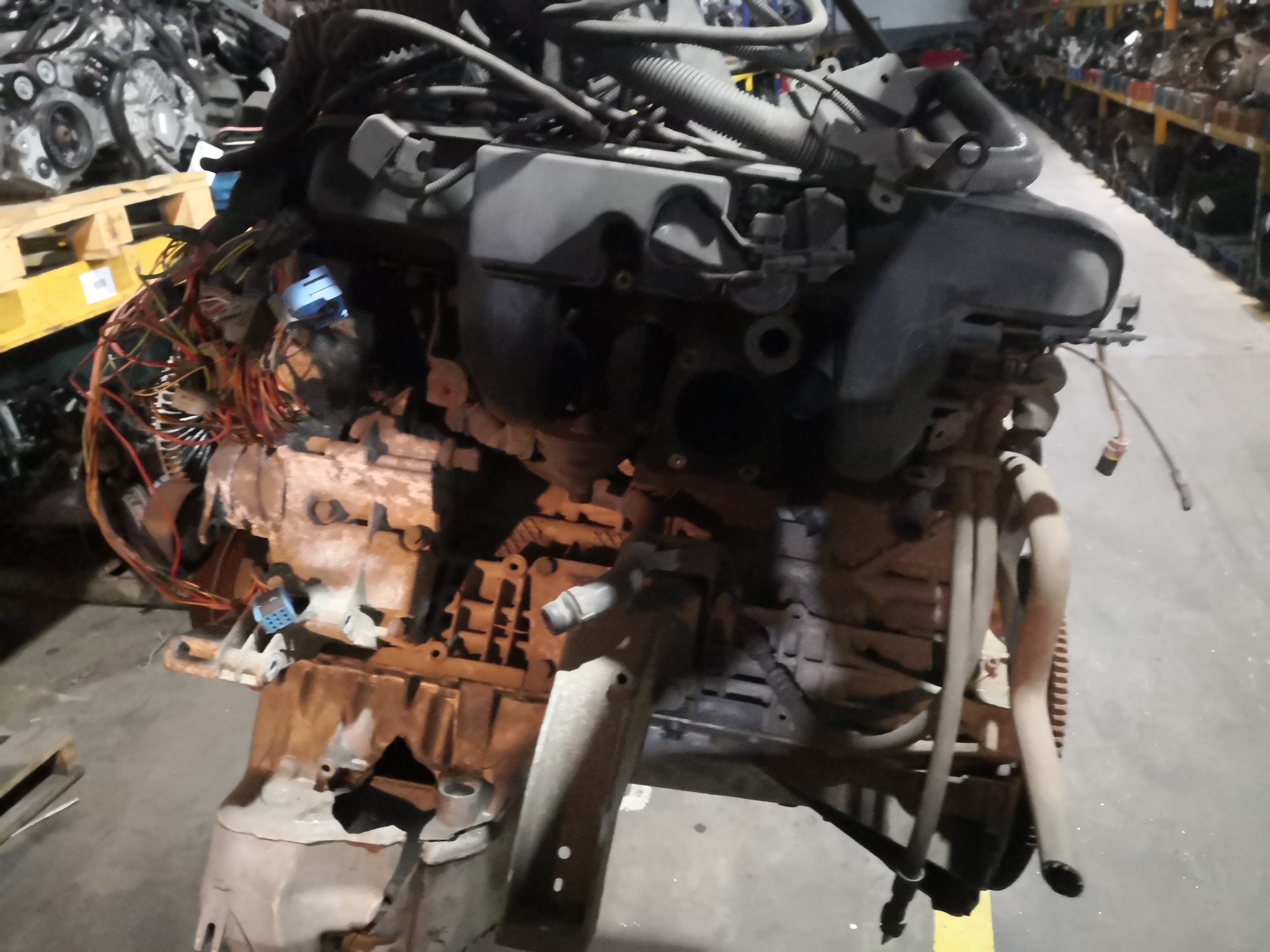 Motor Completo BMW 5 Touring (E39) | 96 - 04 Imagem-3