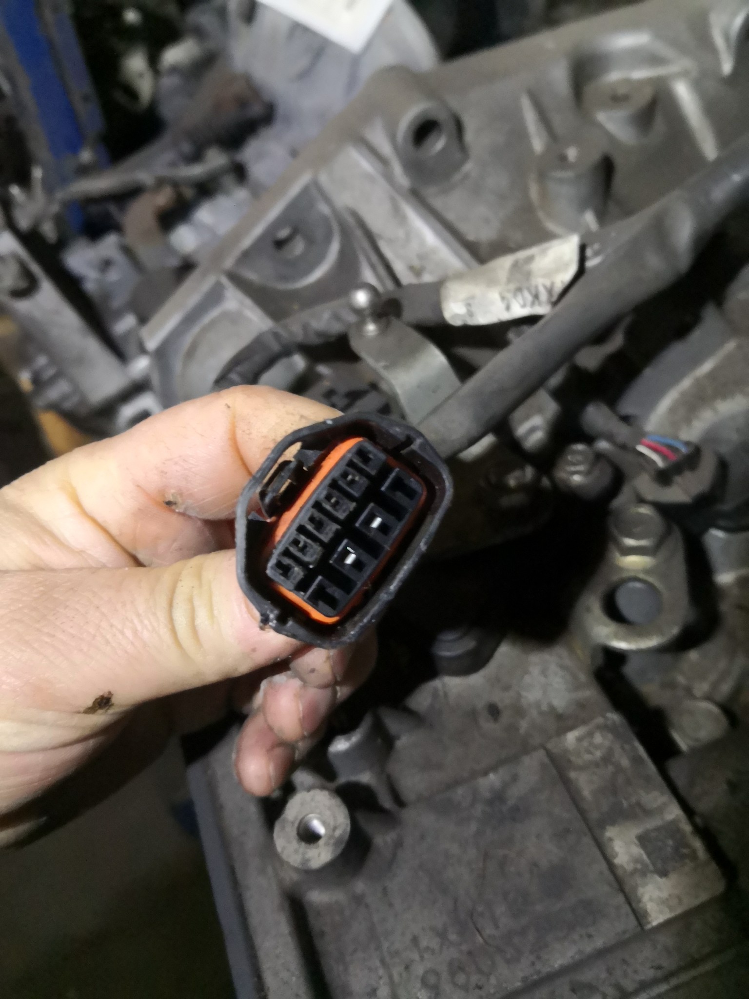 Caixa de Velocidades Automática RENAULT ESPACE IV (JK0/1_) | 02 -  Imagem-4