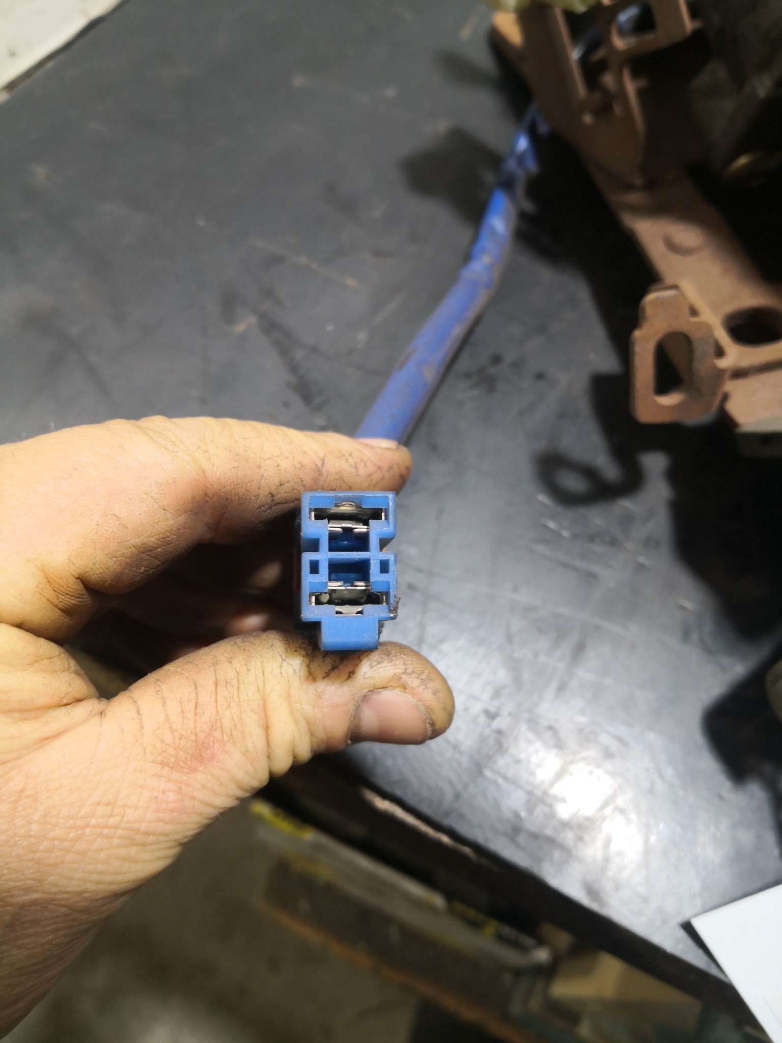 Coluna Direção Elétrica RENAULT CLIO II (BB_, CB_) | 98 -  Imagem-1