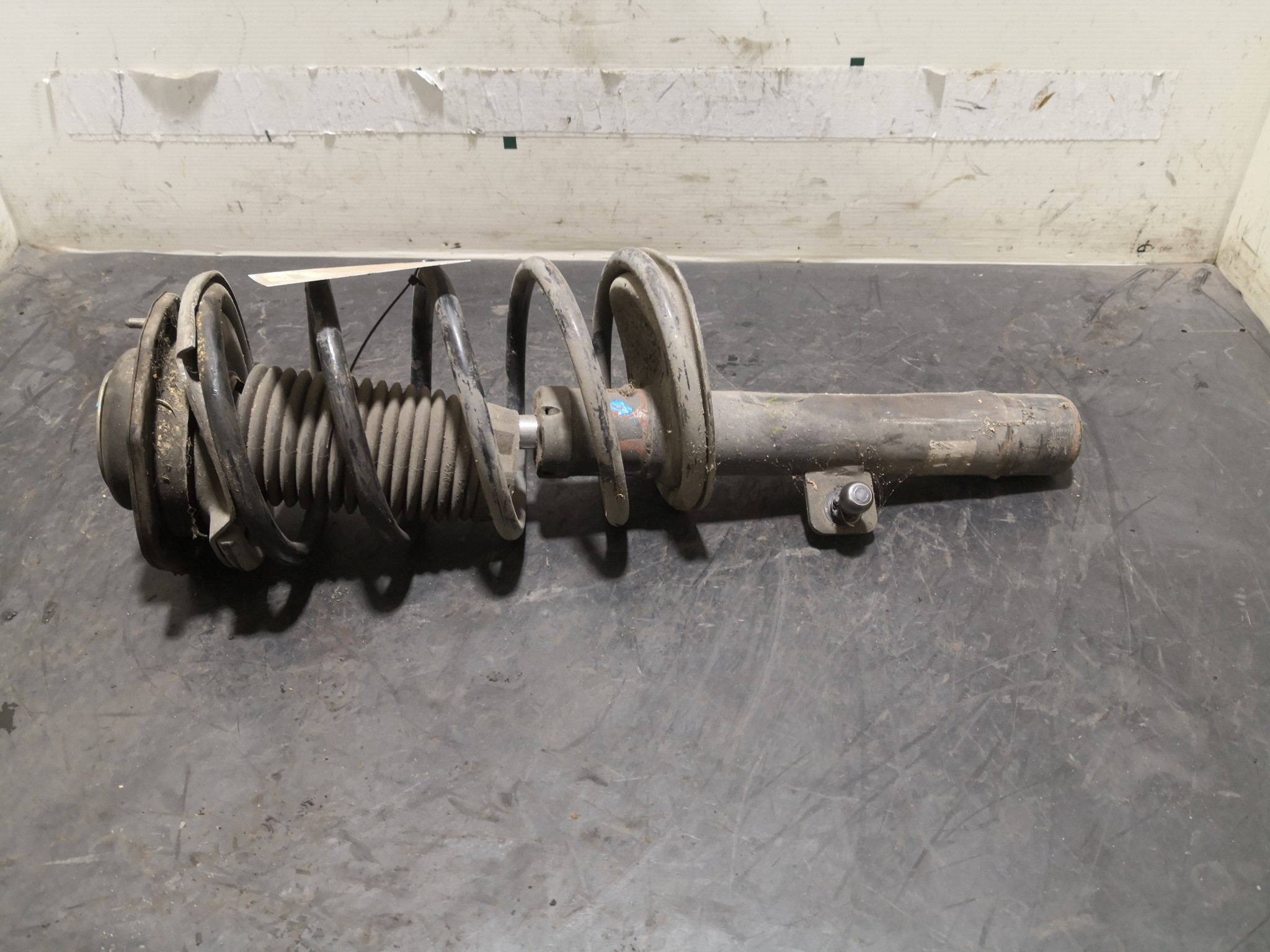 Amortecedor Frente Dto CITROEN XSARA (N1) | 97 - 05 Imagem-1