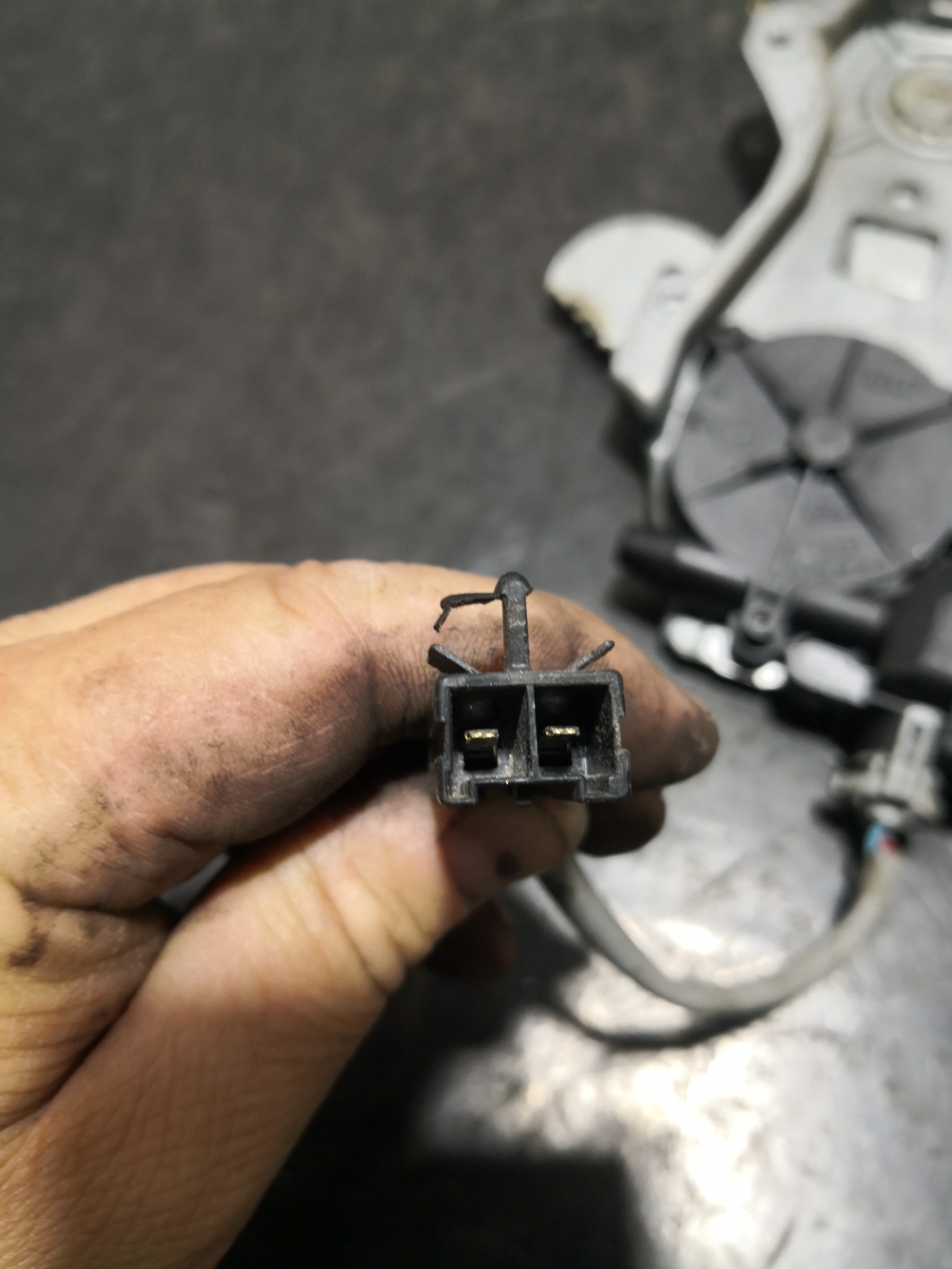 Elevador Trás Dto Electrico NISSAN ALMERA II Hatchback (N16) | 00 -  Imagem-1