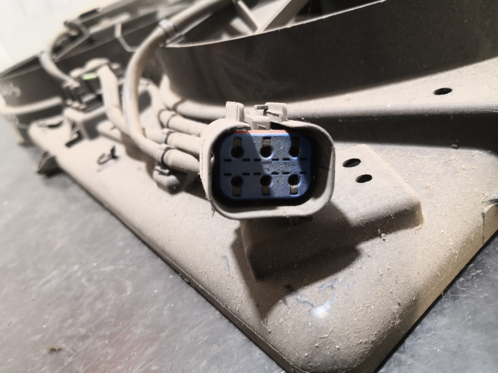 Termoventiladores FORD FOCUS (DAW, DBW) | 98 - 09 Imagem-1