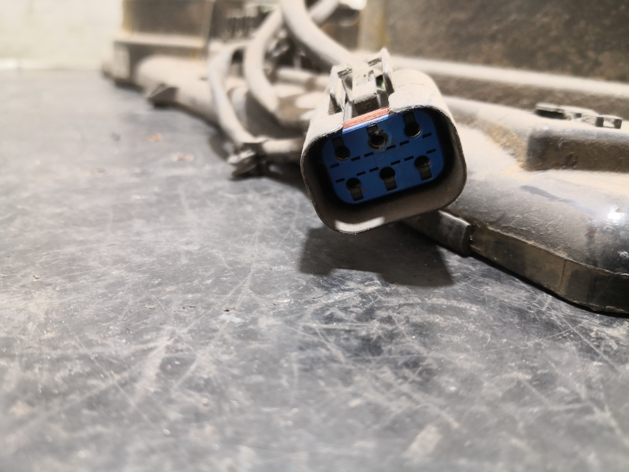 Termoventiladores FORD FOCUS (DAW, DBW) | 98 - 09 Imagem-1