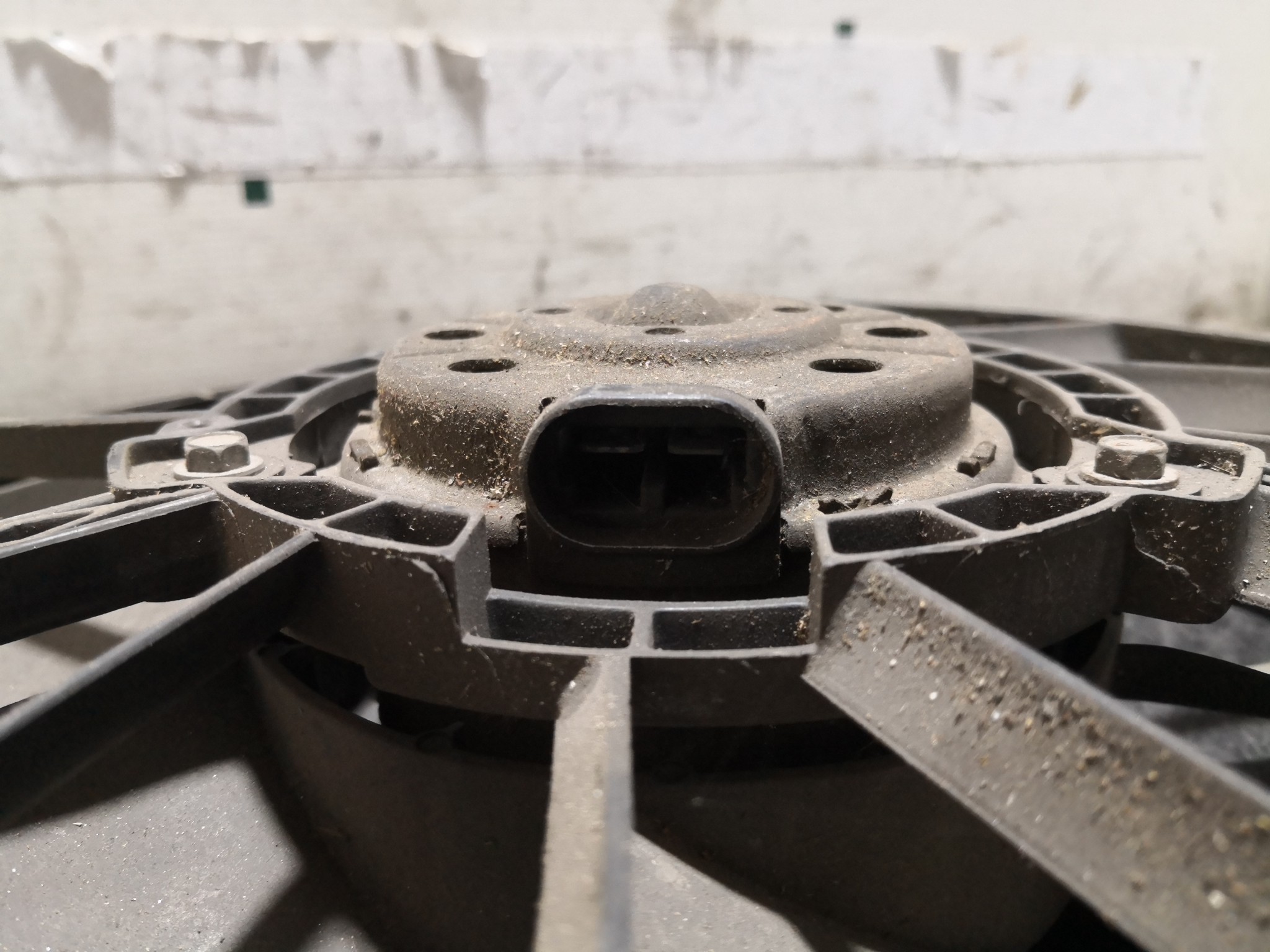 Termoventiladores RENAULT CLIO II (BB_, CB_) | 98 -  Imagem-1