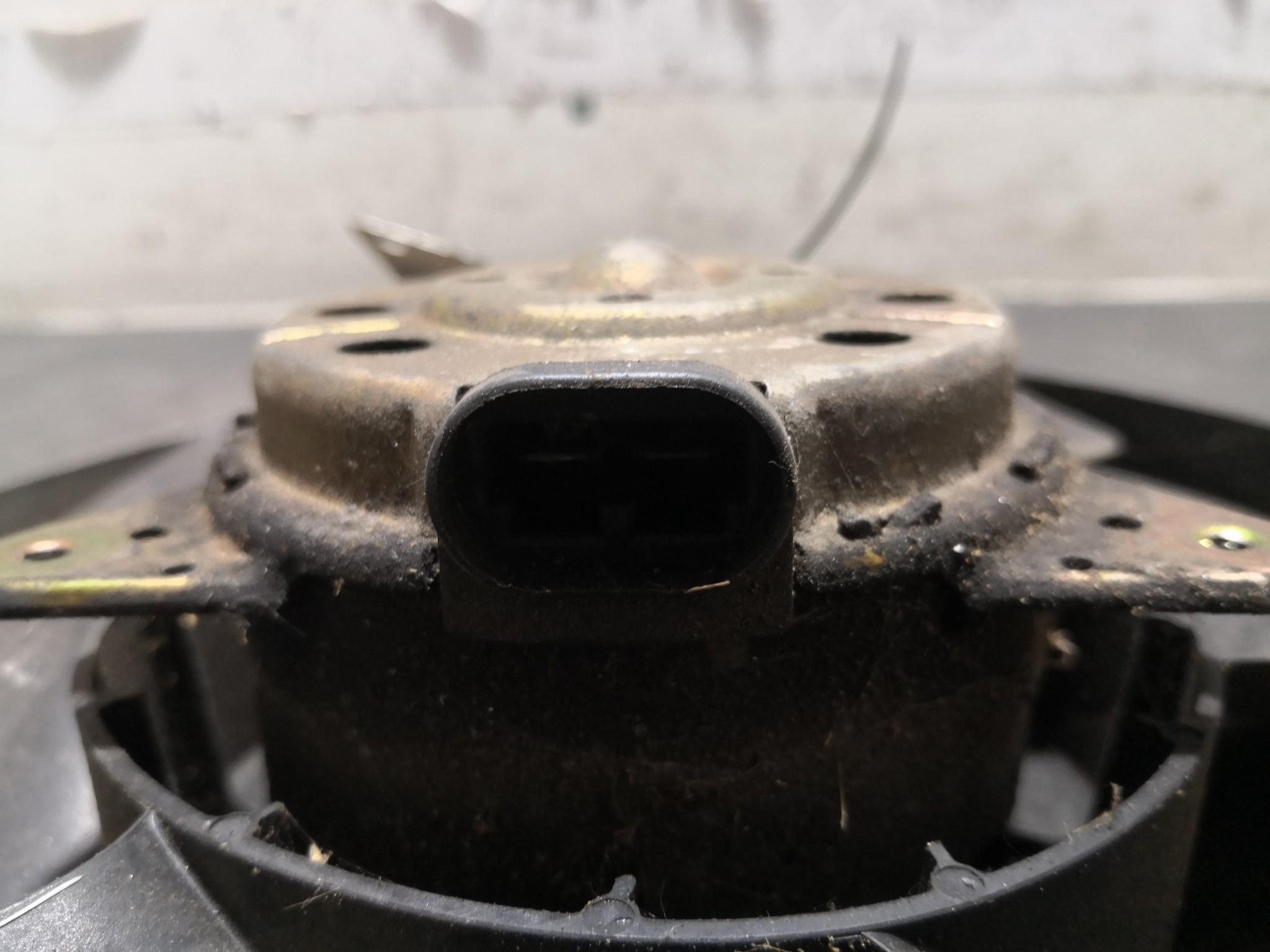 Termoventiladores RENAULT CLIO III (BR0/1, CR0/1) | 05 -  Imagem-1