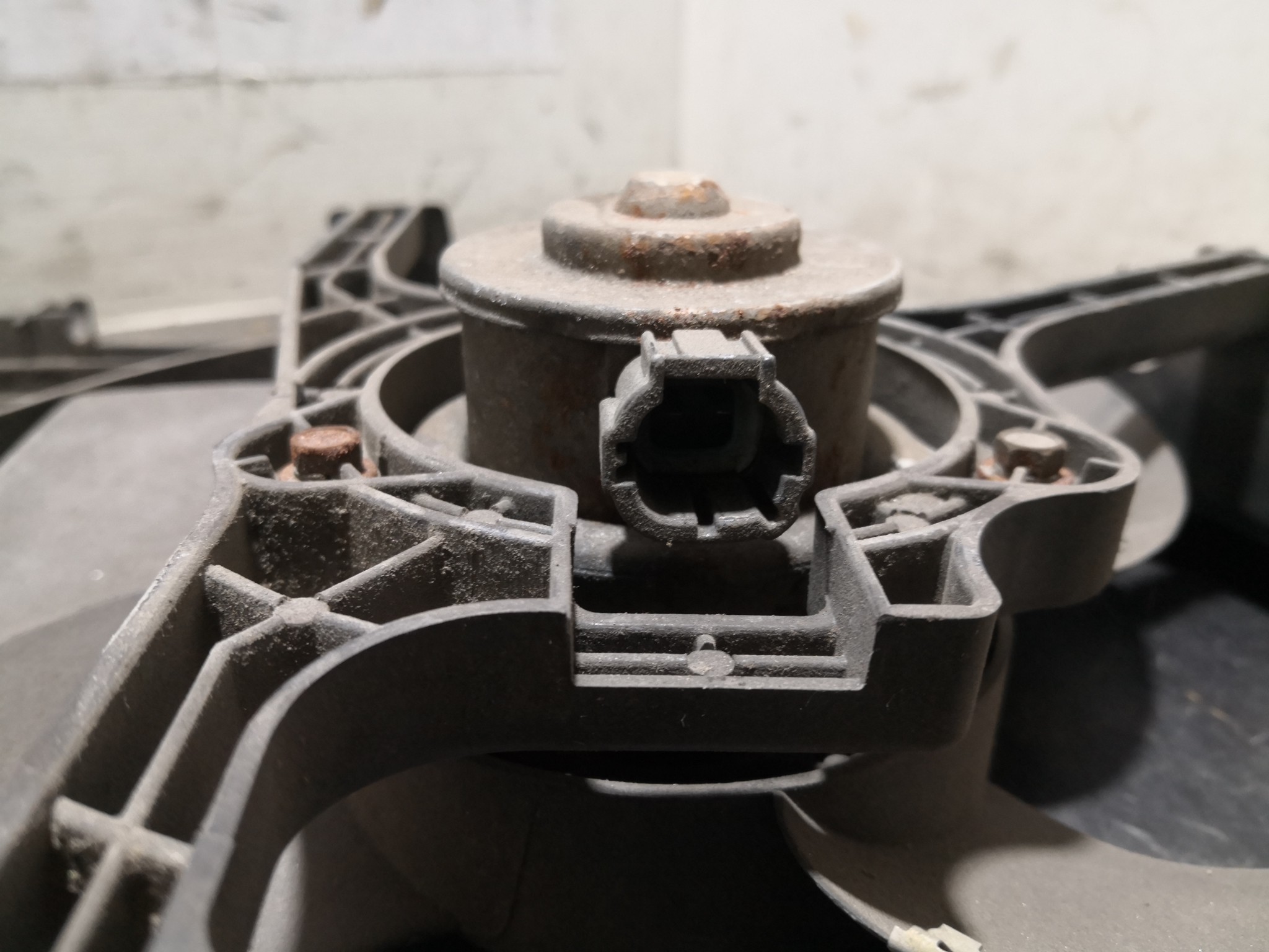 Termoventiladores NISSAN ALMERA II (N16) | 00 -  Imagem-1