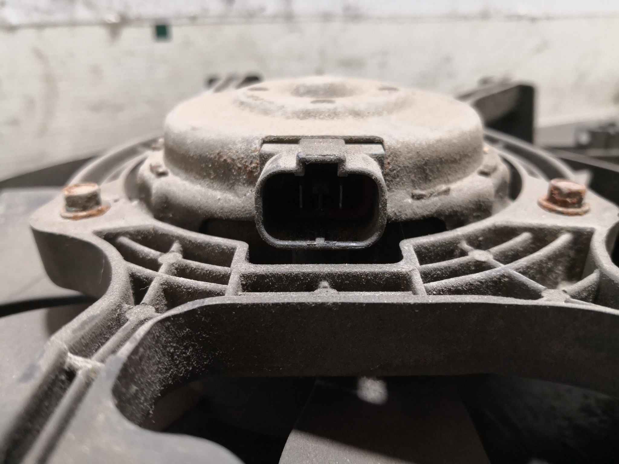 Termoventiladores NISSAN ALMERA II (N16) | 00 -  Imagem-2