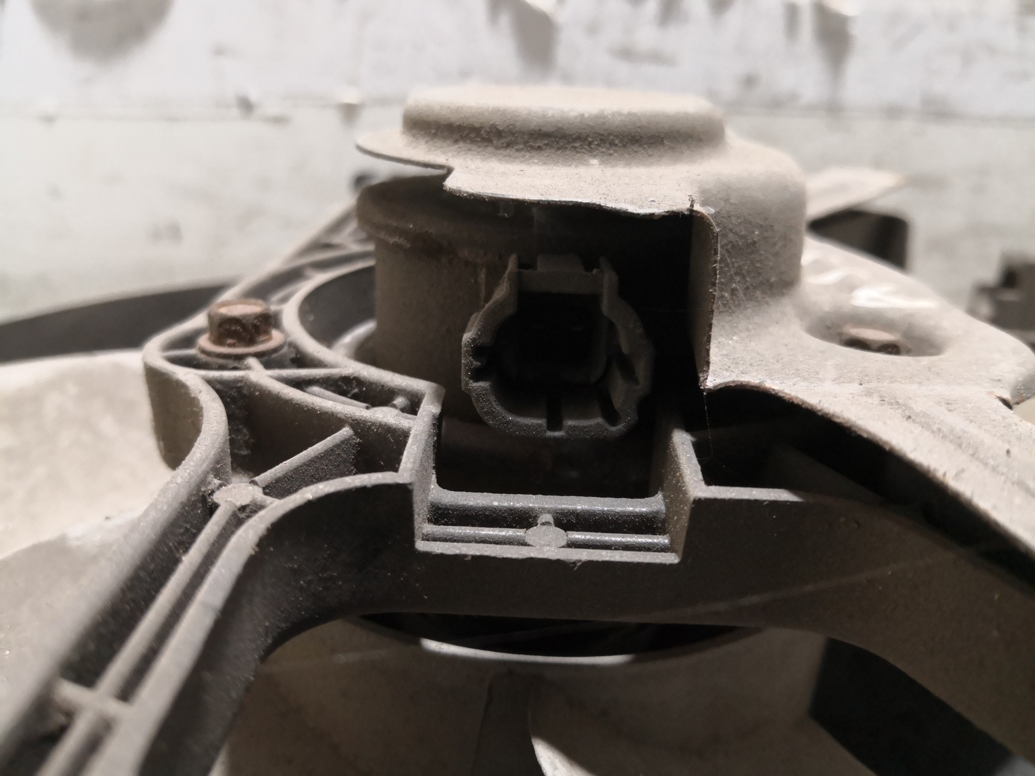 Termoventiladores NISSAN ALMERA II (N16) | 00 -  Imagem-2