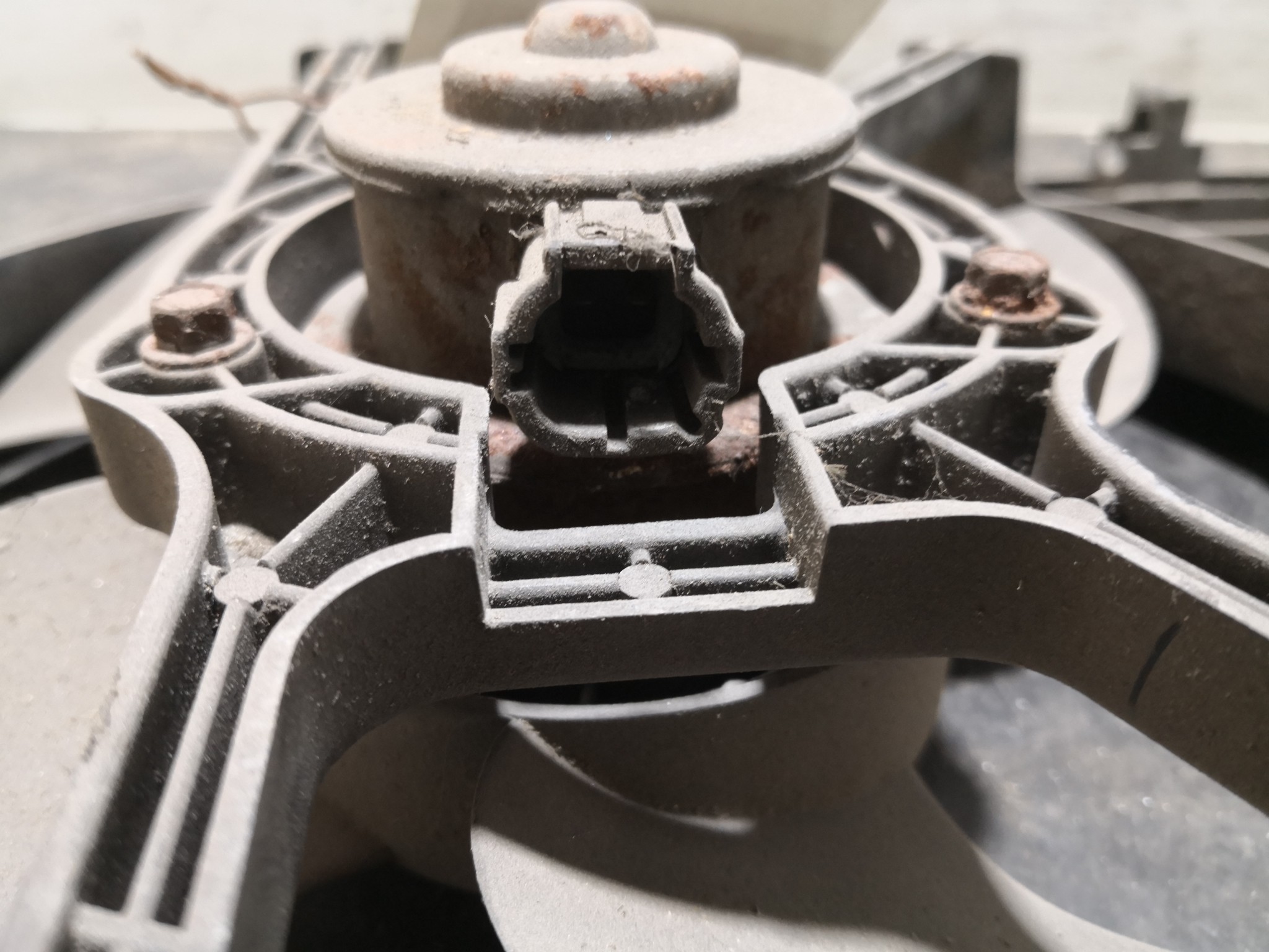 Termoventiladores NISSAN ALMERA II (N16) | 00 -  Imagem-1