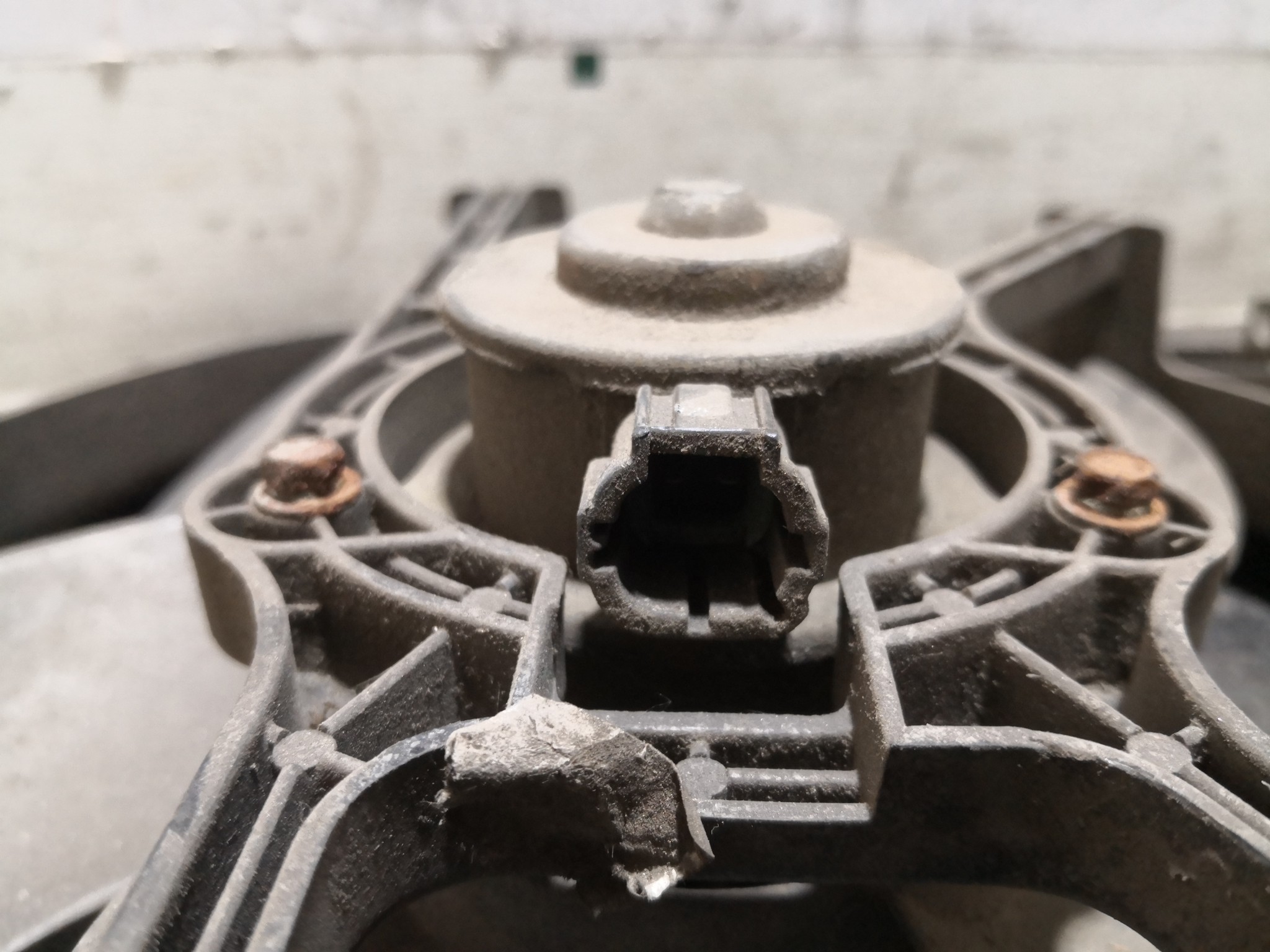 Termoventiladores NISSAN ALMERA II (N16) | 00 -  Imagem-1