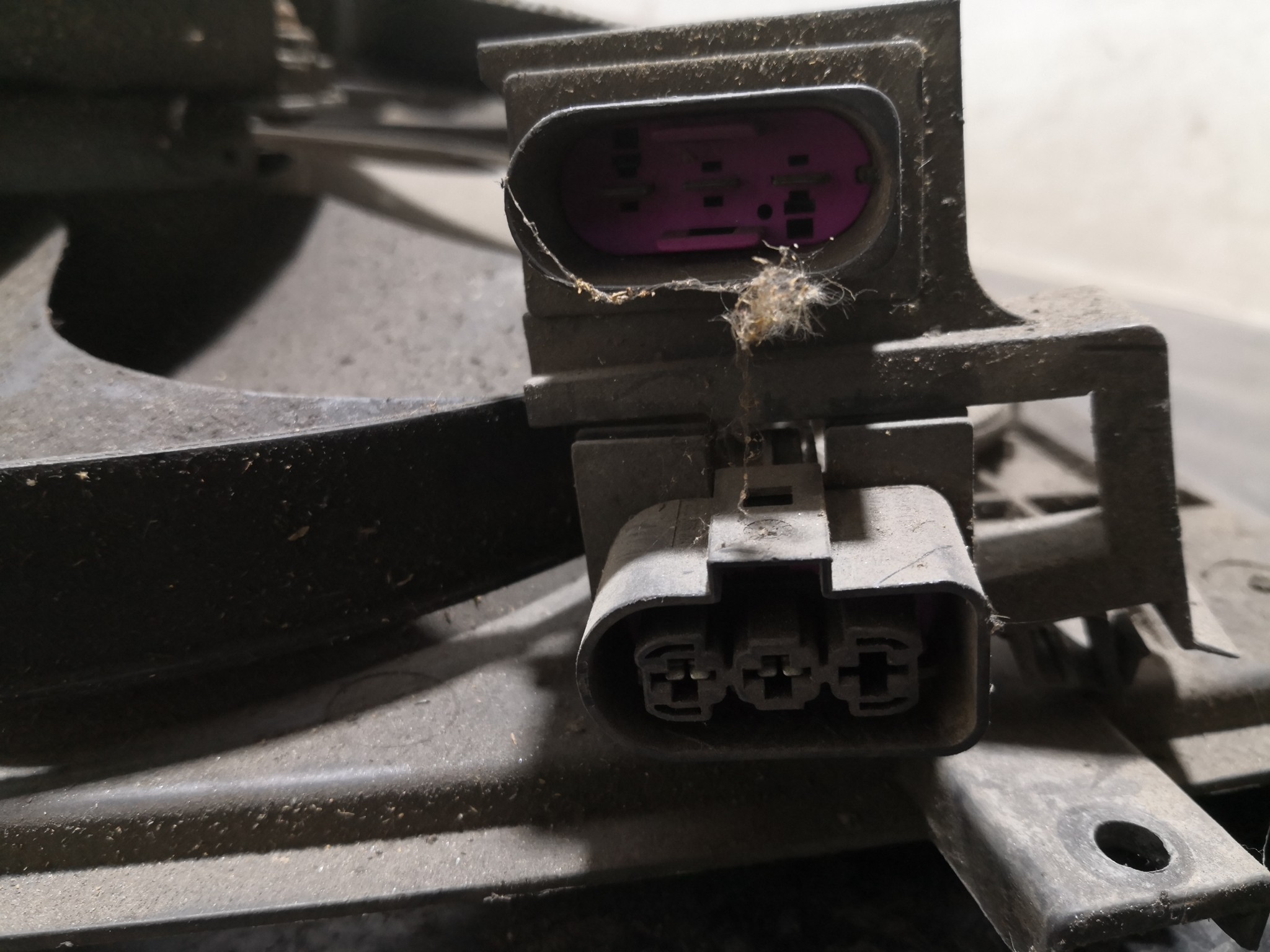 Termoventiladores SEAT LEON (1M1) | 99 - 06 Imagem-1