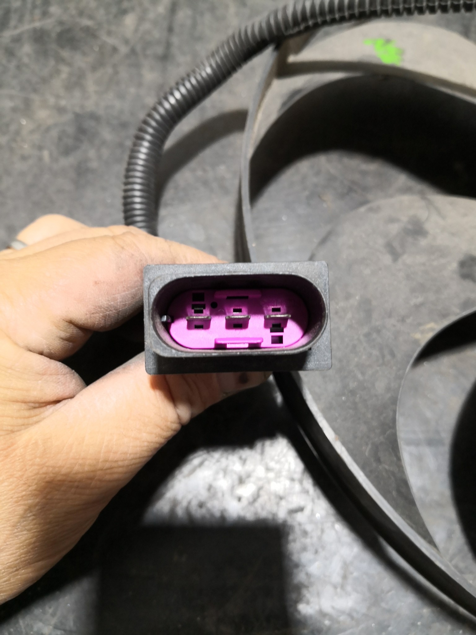 Termoventiladores SKODA FABIA I (6Y2) | 99 - 08 Imagem-1