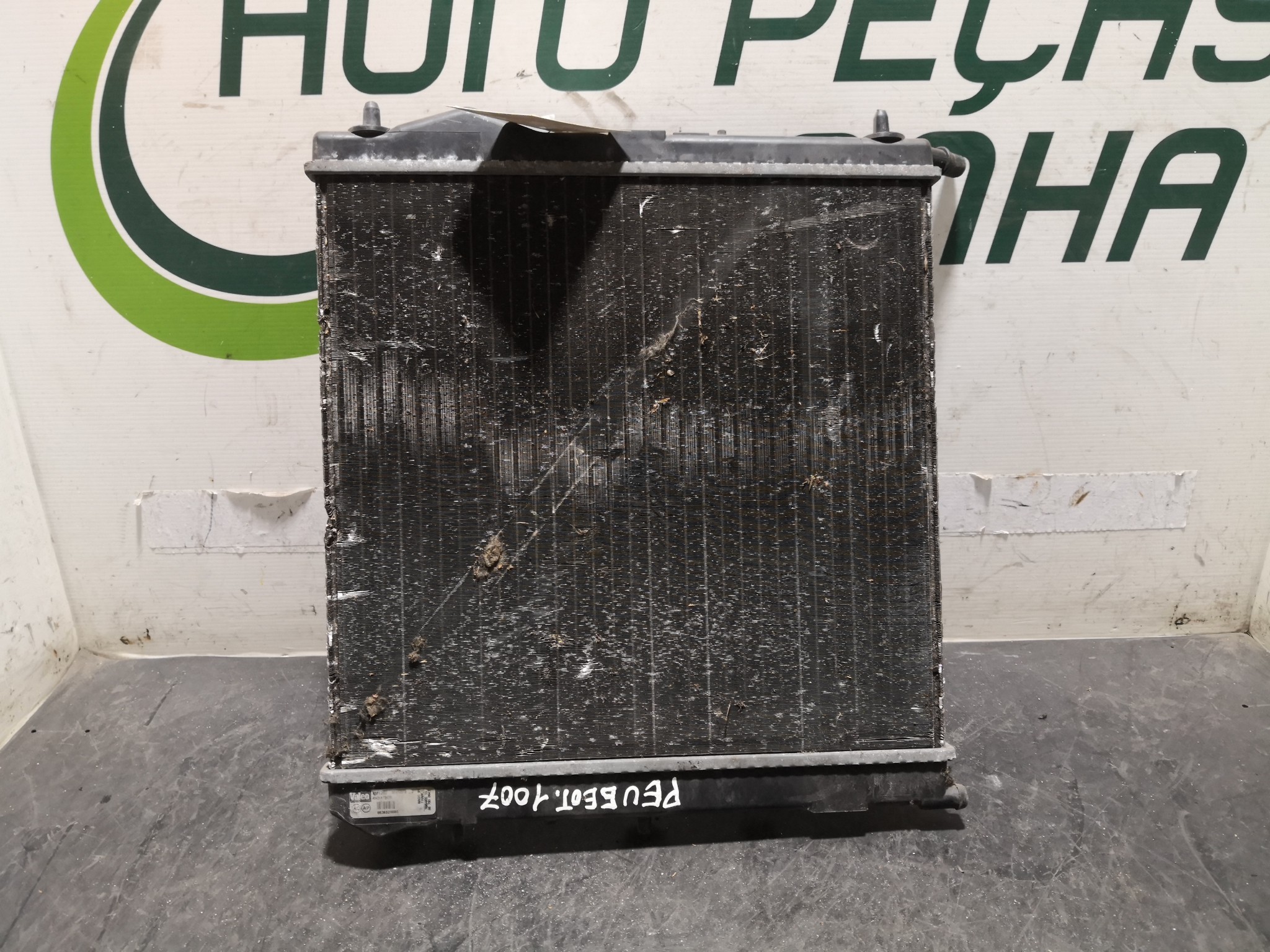 Radiador da água PEUGEOT 1007 (KM_) | 05 -  Imagem-1