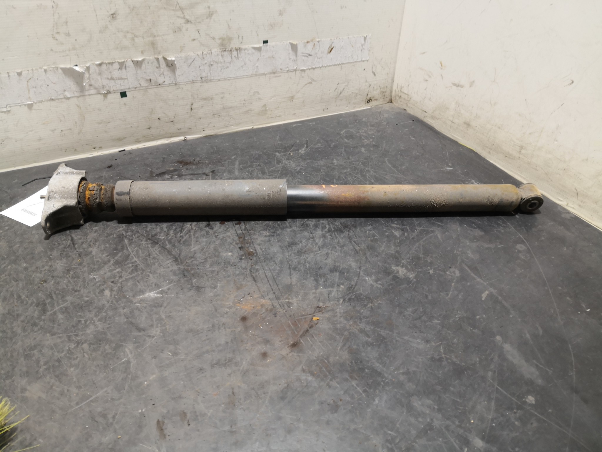 Amortecedor Trás Dto FORD FOCUS II (DA_, HCP, DP) | 04 - 13 Imagem-1