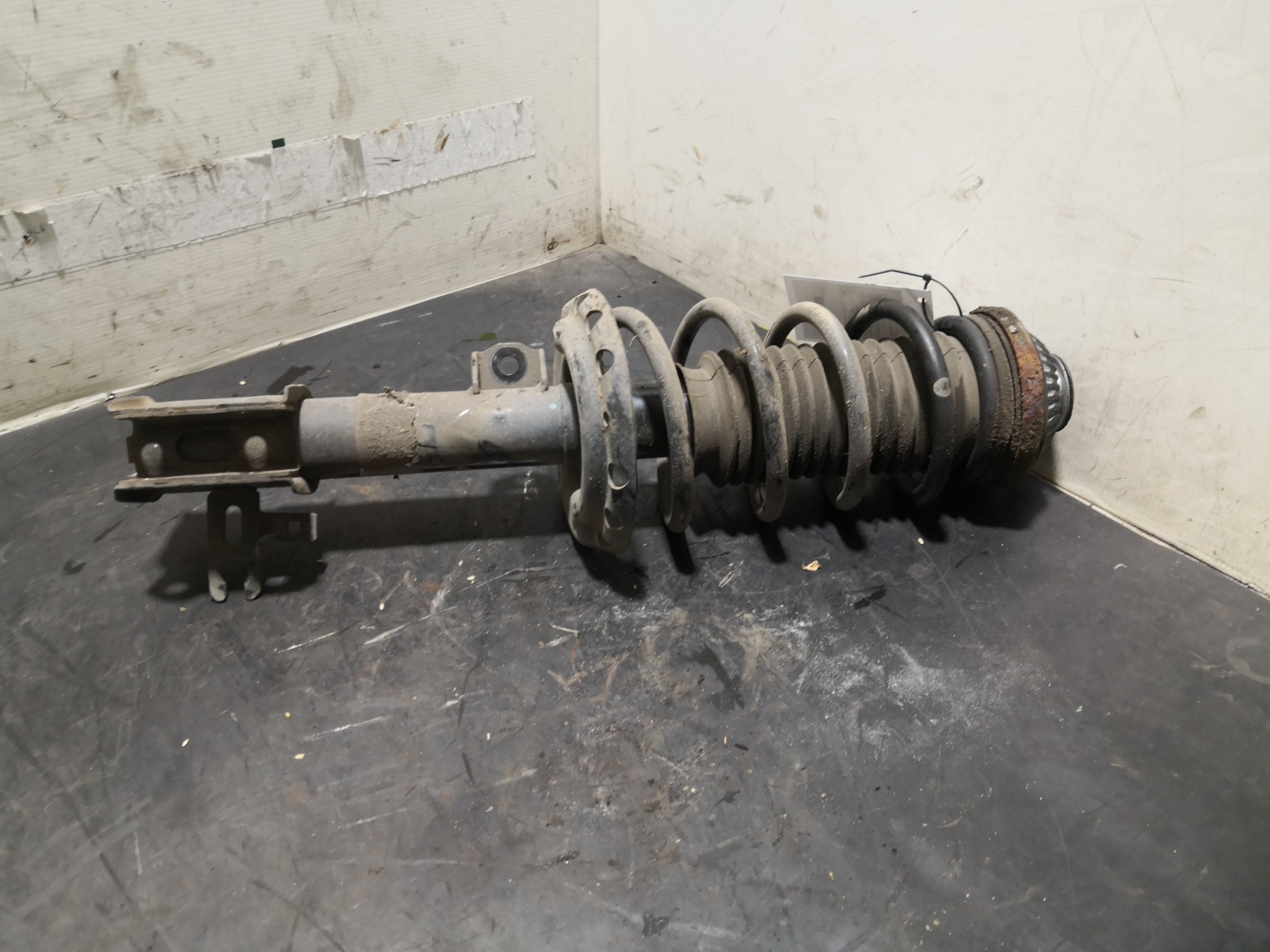 Amortecedor Frente Dto OPEL ASTRA H Combi (A04) | 04 - 14 Imagem-1