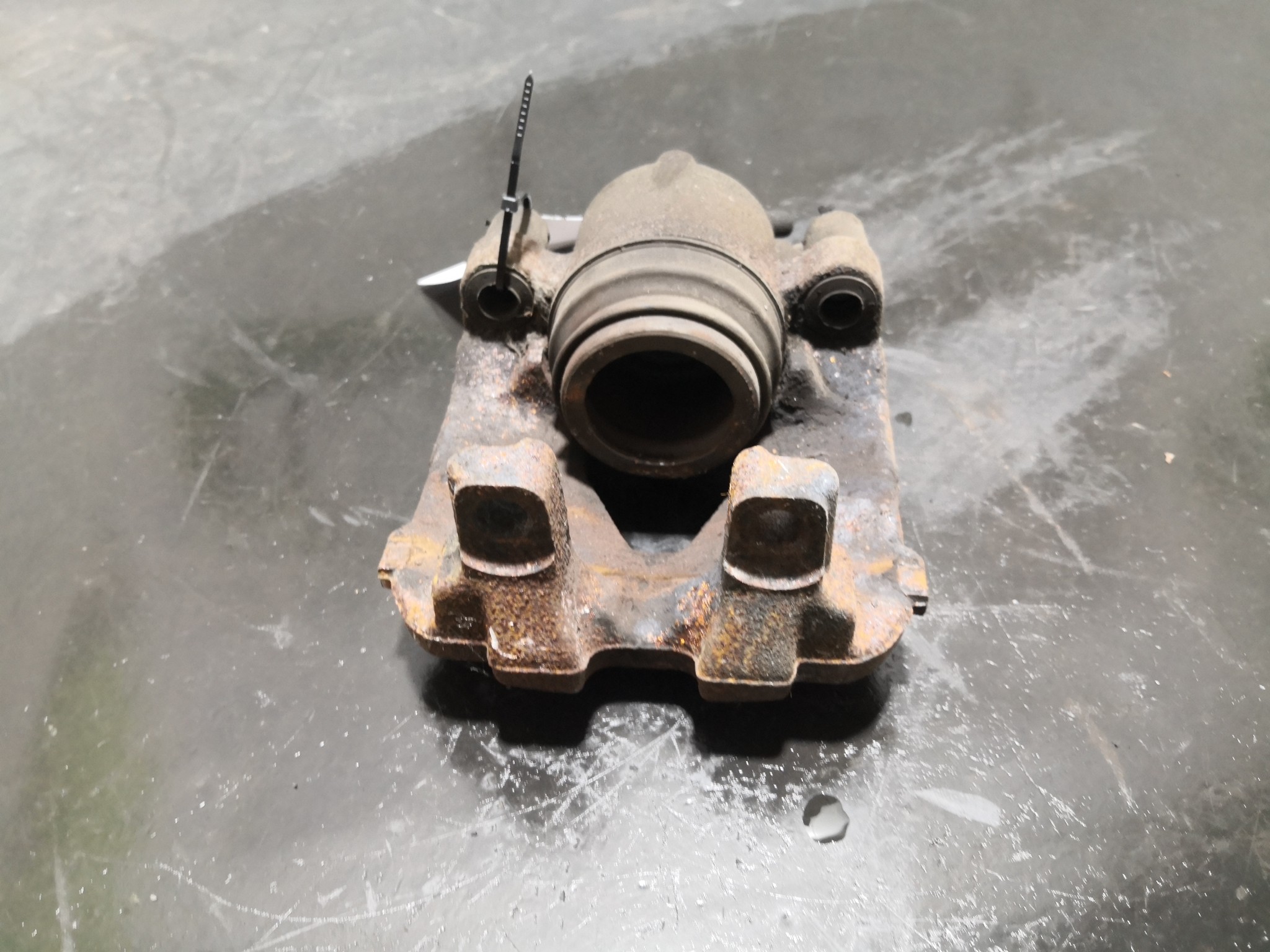 Pinça Frente Esq BMW 3 Touring (E91) | 04 - 12 Imagem-1