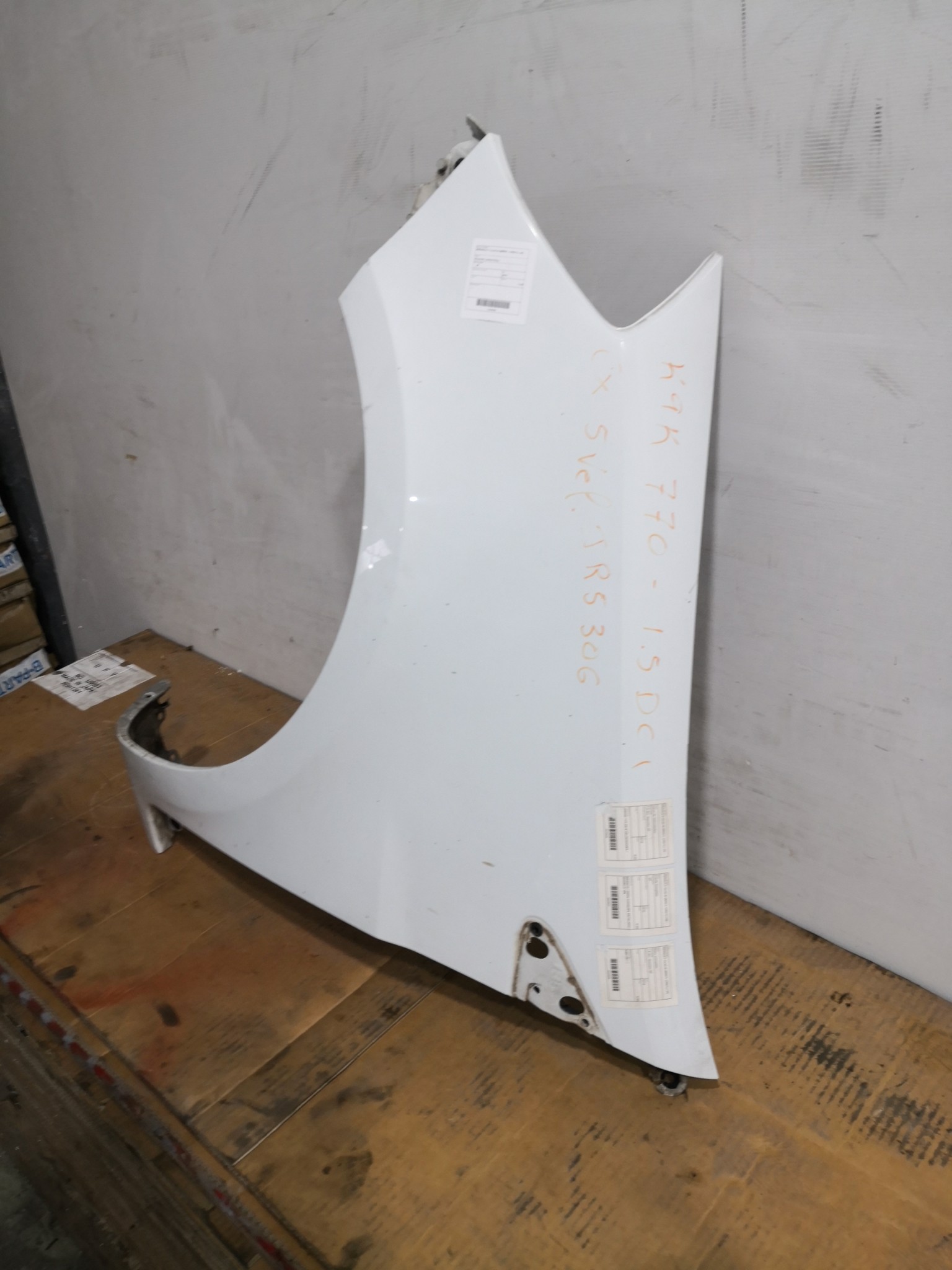 Guarda Lamas Esq RENAULT CLIO III (BR0/1, CR0/1) | 05 -  Imagem-1