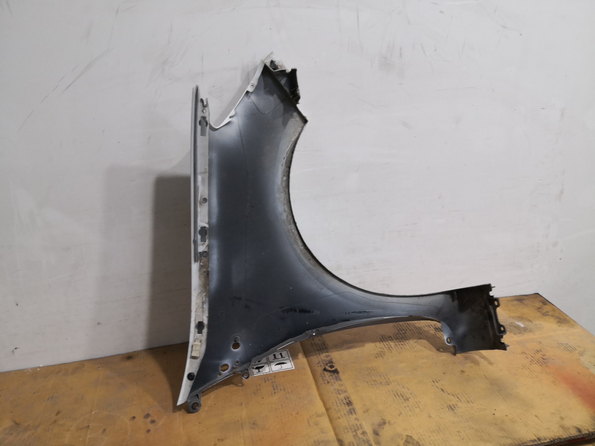 Guarda Lamas Esq RENAULT CLIO III (BR0/1, CR0/1) | 05 -  Imagem-3