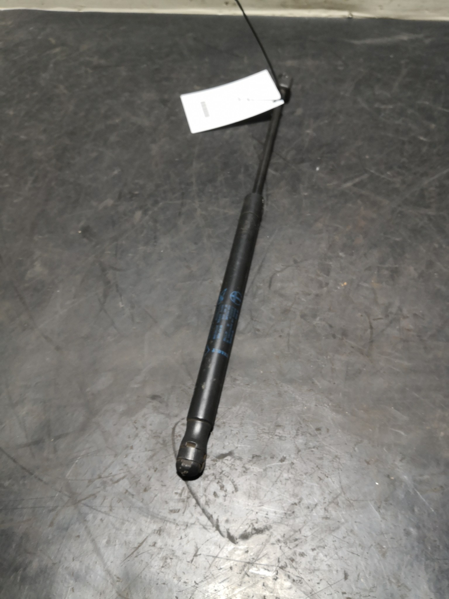 Amortecedores de Mala RENAULT MEGANE II (BM0/1_, CM0/1_) | 01 - 12 Imagem-1