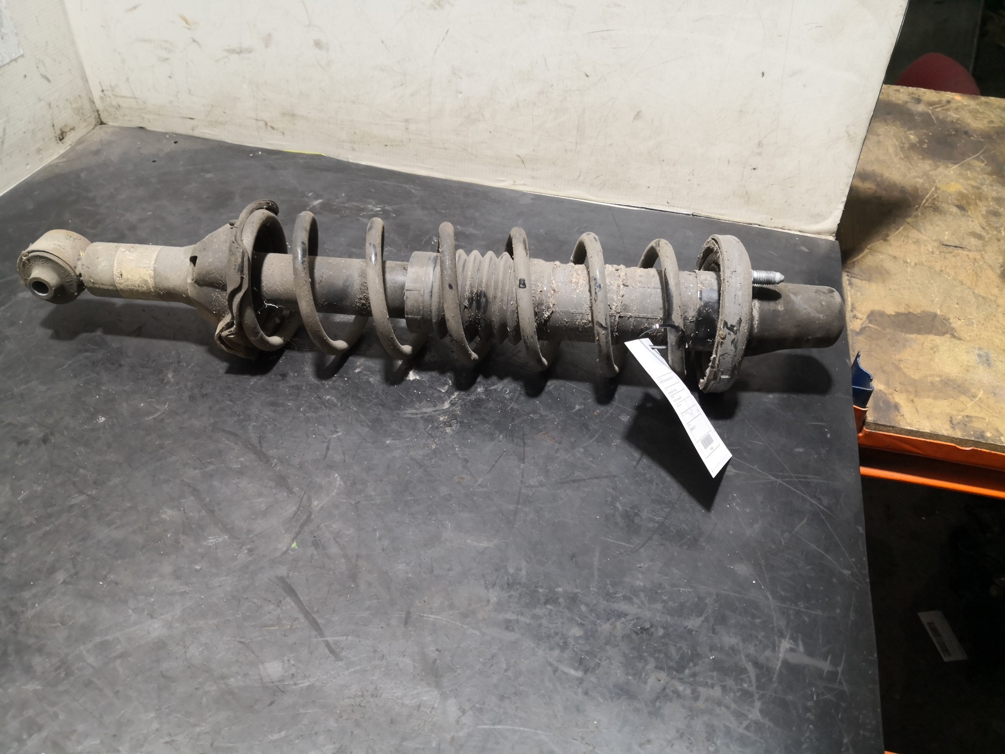 Amortecedor Trás Dto ROVER 25 Hatchback (RF) | 99 - 06 Imagem-1